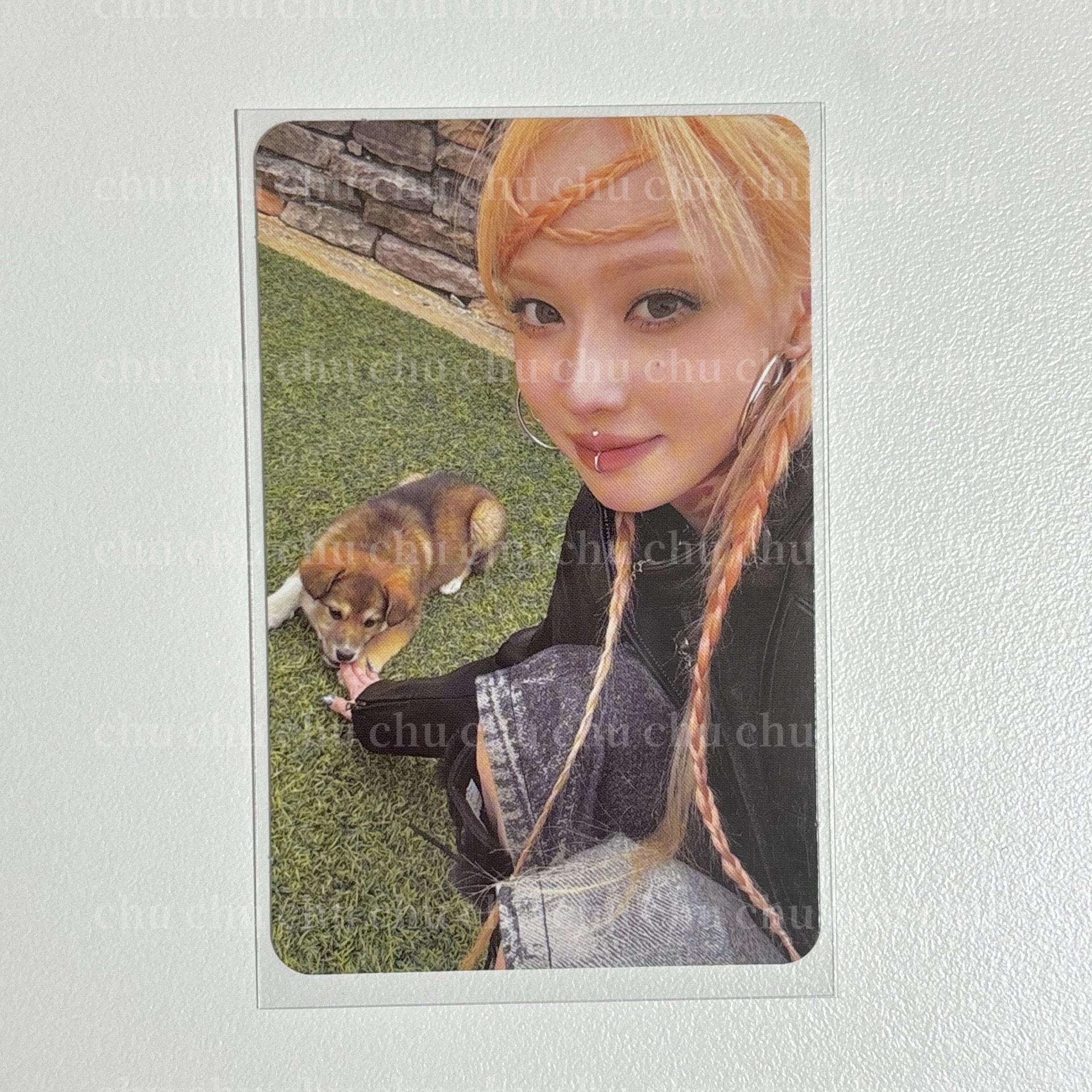 🔴狗狗冬｜簽名韓文卡背(帶200)