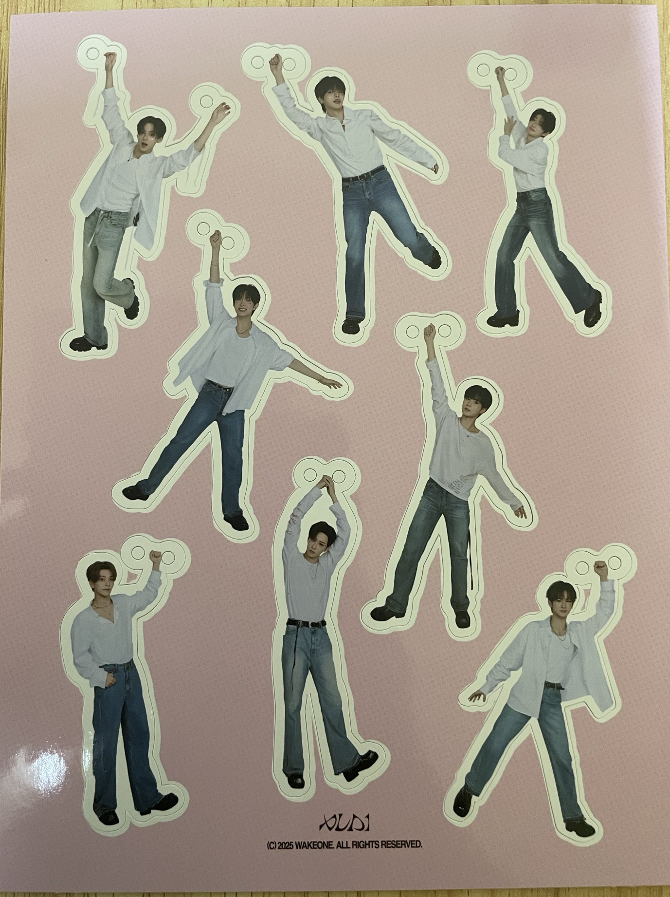 ALD1-一期會員《小卡大卡+貼紙+吊飾綁售》