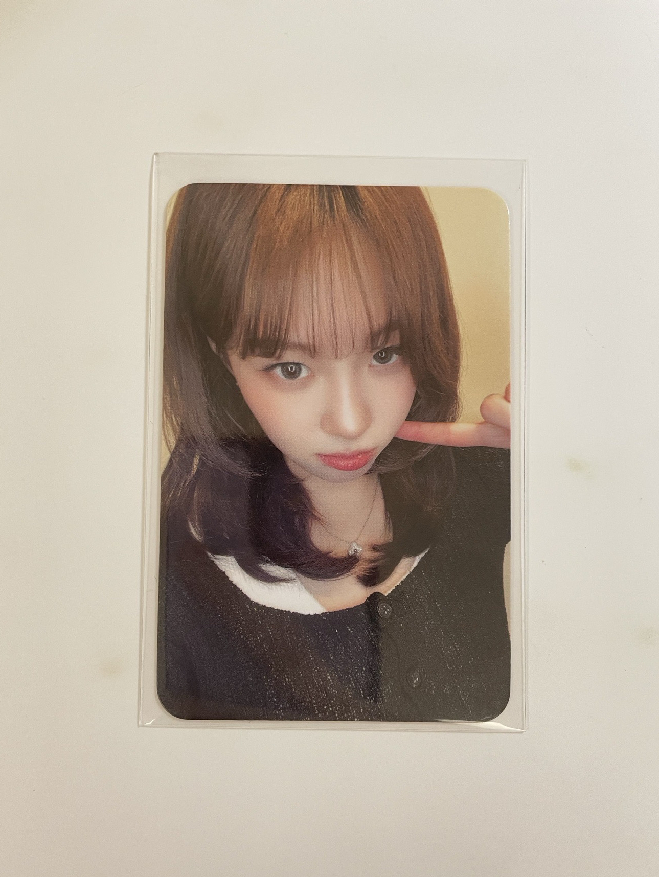 迷六 金采炫 IR 線上1.0 簽售卡 