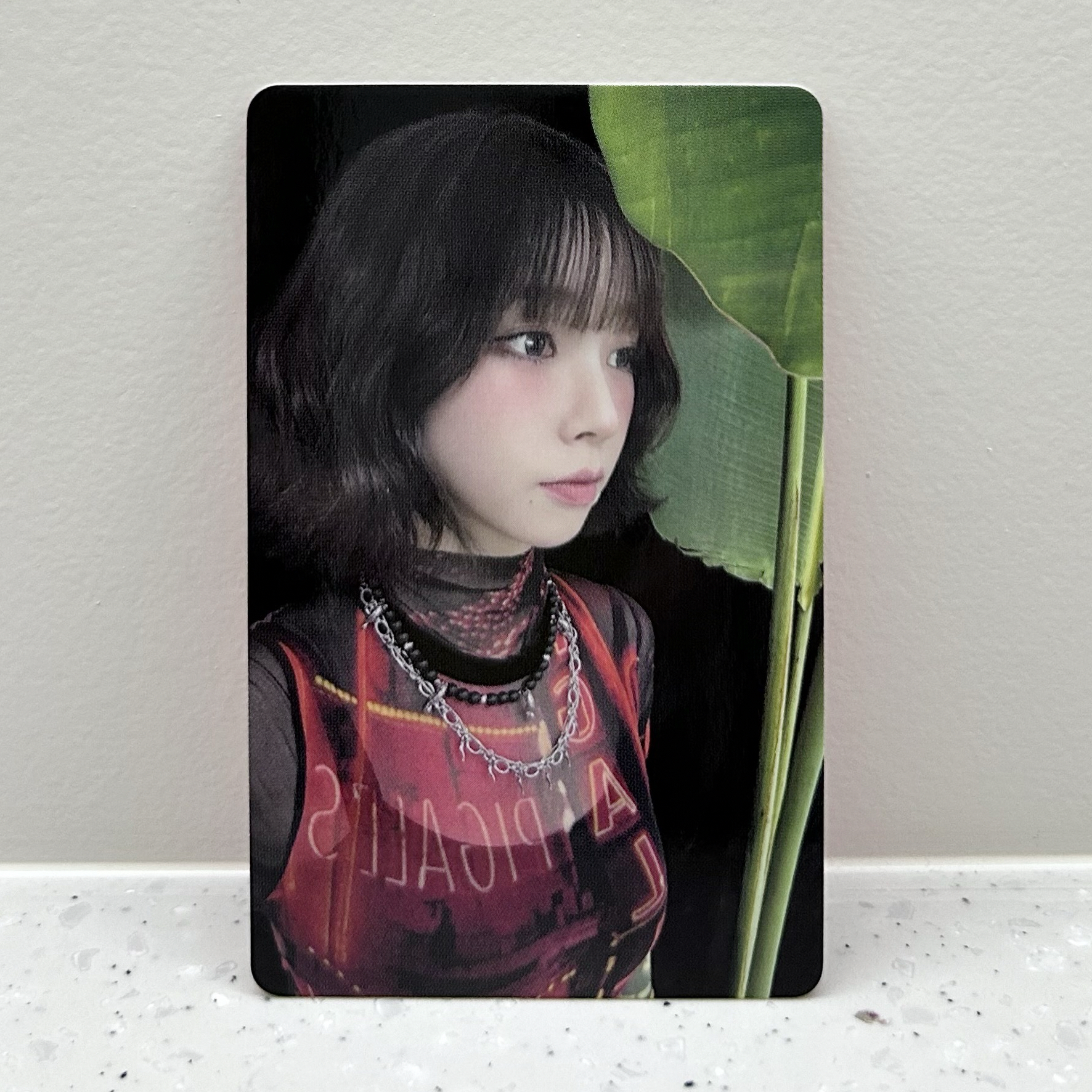 2025 SMT30 隨機卡柚 東蛋限定