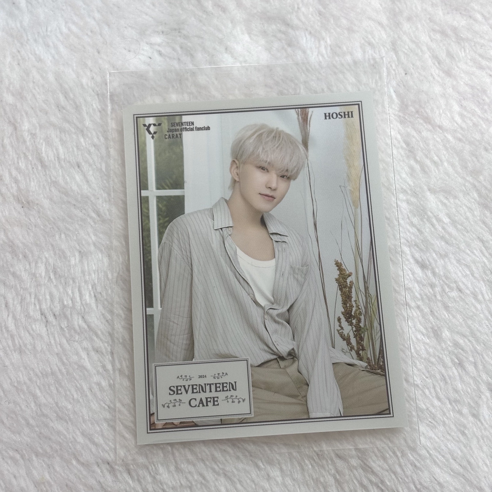 2024 seventeen cafe 會員特典小生寫