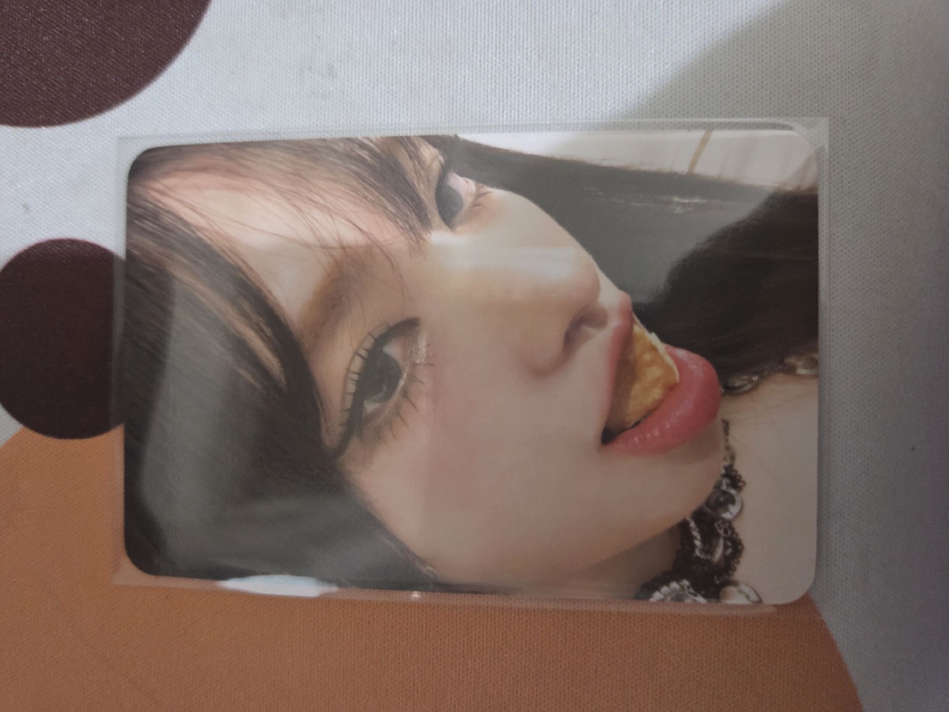 wm4.0幸運卡栗 💚