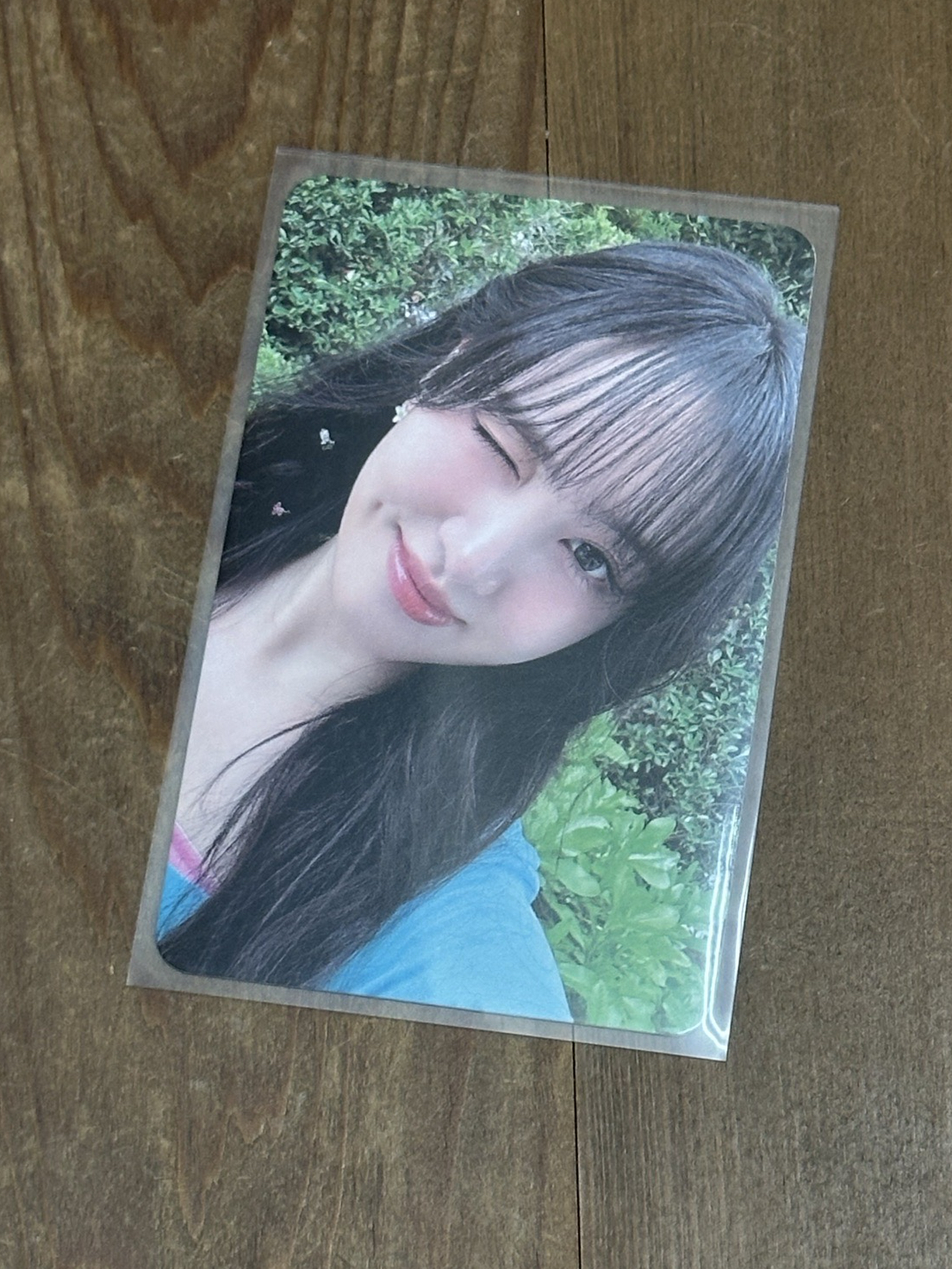 夏日寫真固配栗