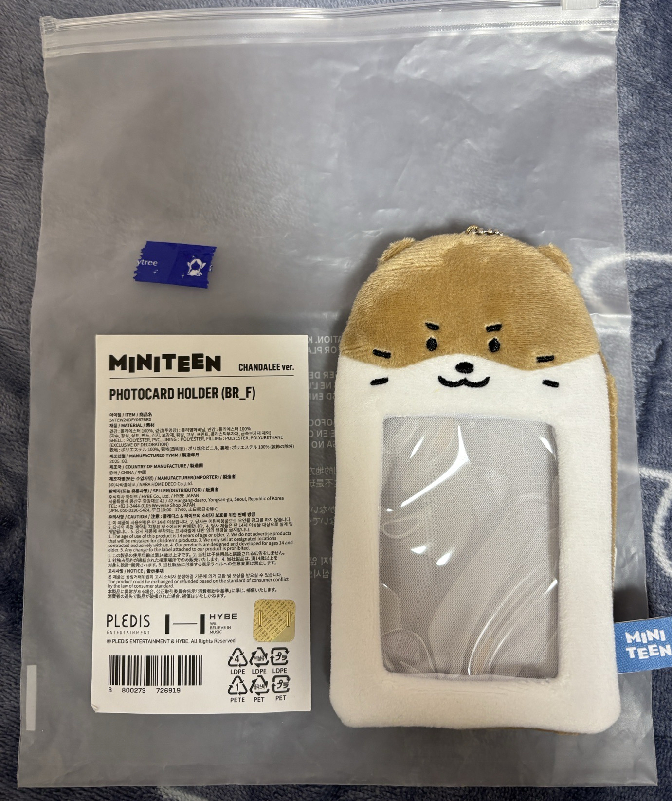 （全新現貨）Miniteen Dino 卡套