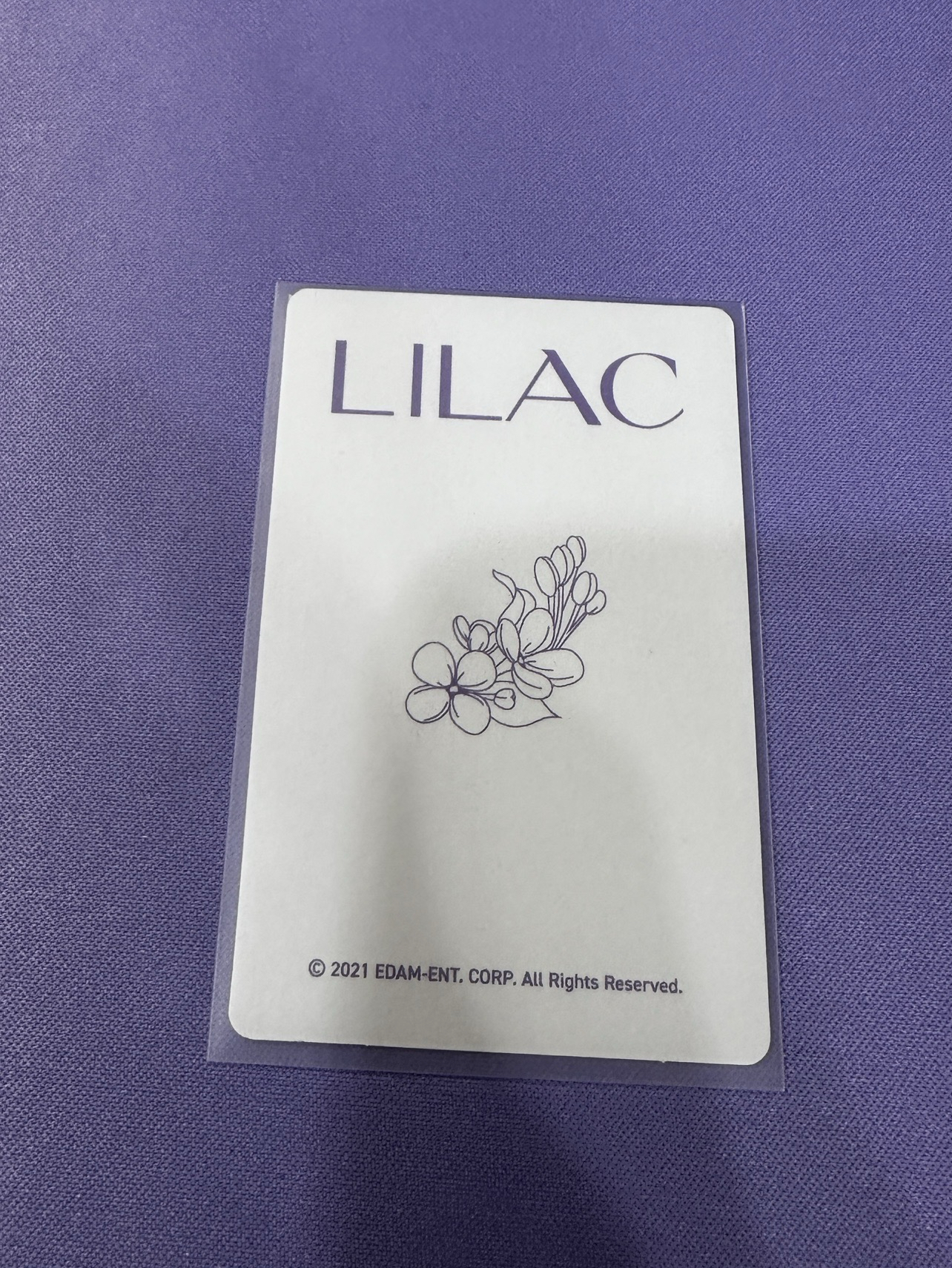 【現貨/ 複數小卡出售】 IU LILAC 官方補償寫真書小卡