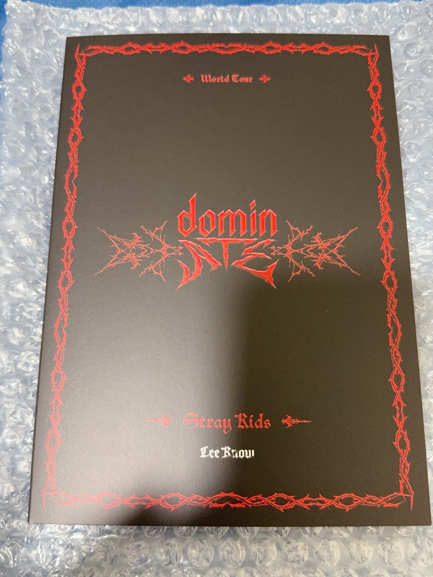 SKZ domineATE LEEKNOW 李旻浩 明信片書 整本