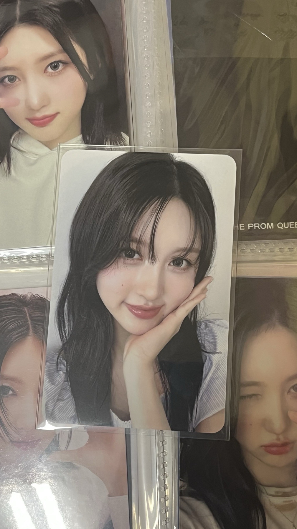 秋 MS4 上海簽售（中背）