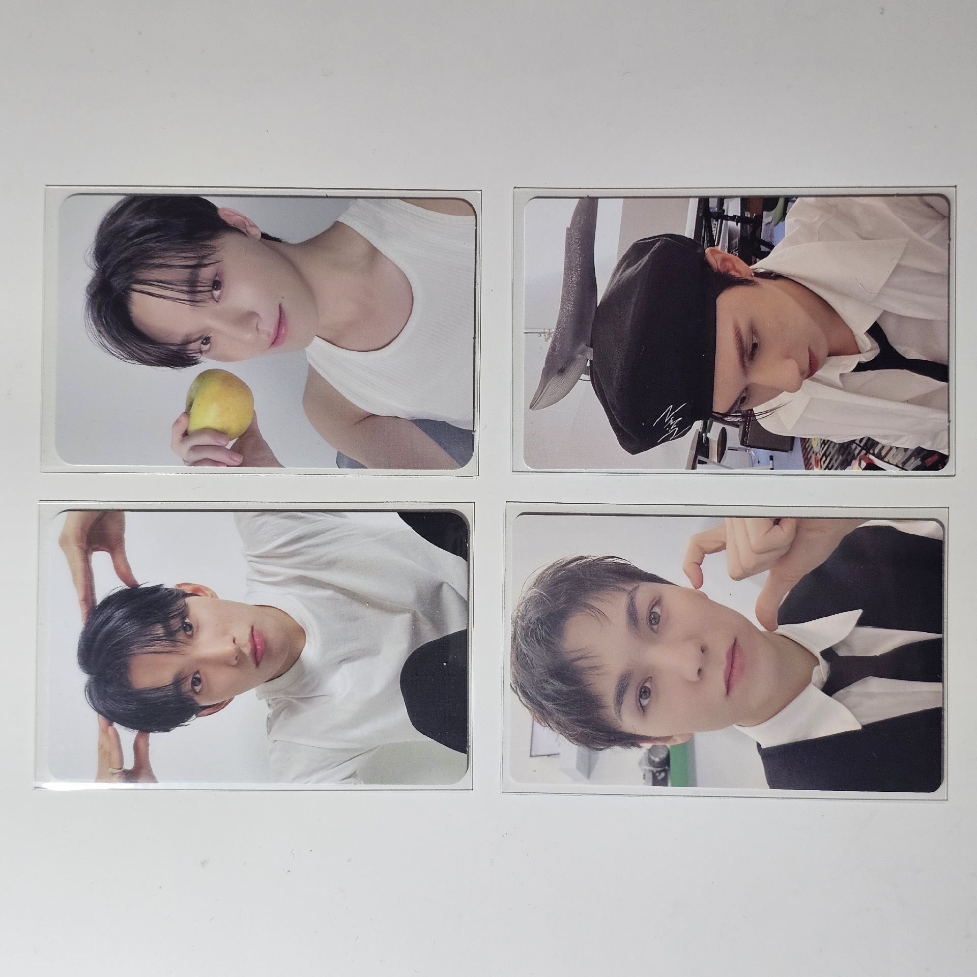 💎現貨｜SEVENTEEN 小卡 精選專 克拉盤 狗狗碩 俊輝 碩珉 瀚率 李燦 17 is right here