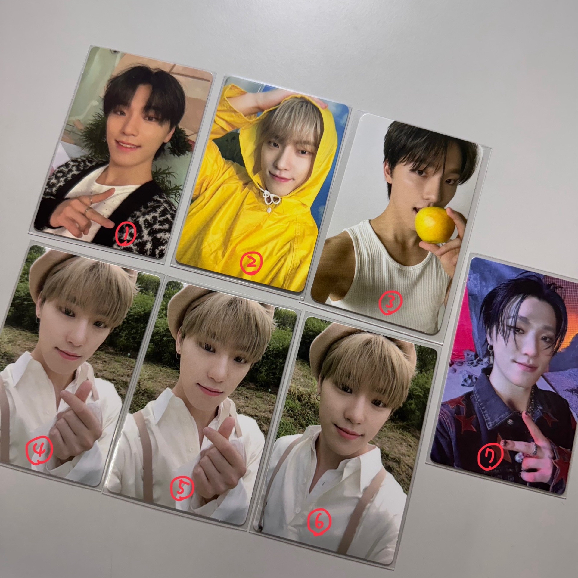 SVT DINO 小卡合輯