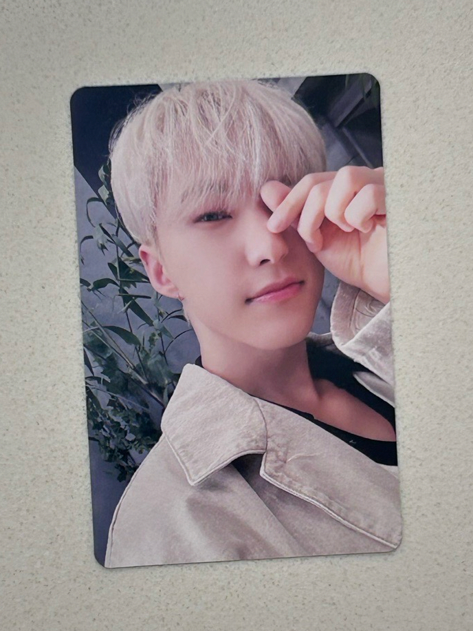 SEVENTEEN HOSHI 消費期限專卡