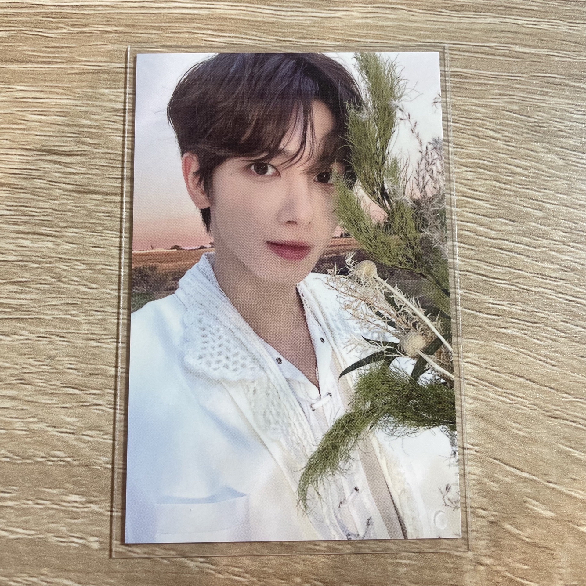 PROMISE MOA ZONE 粽卡 姜太顯