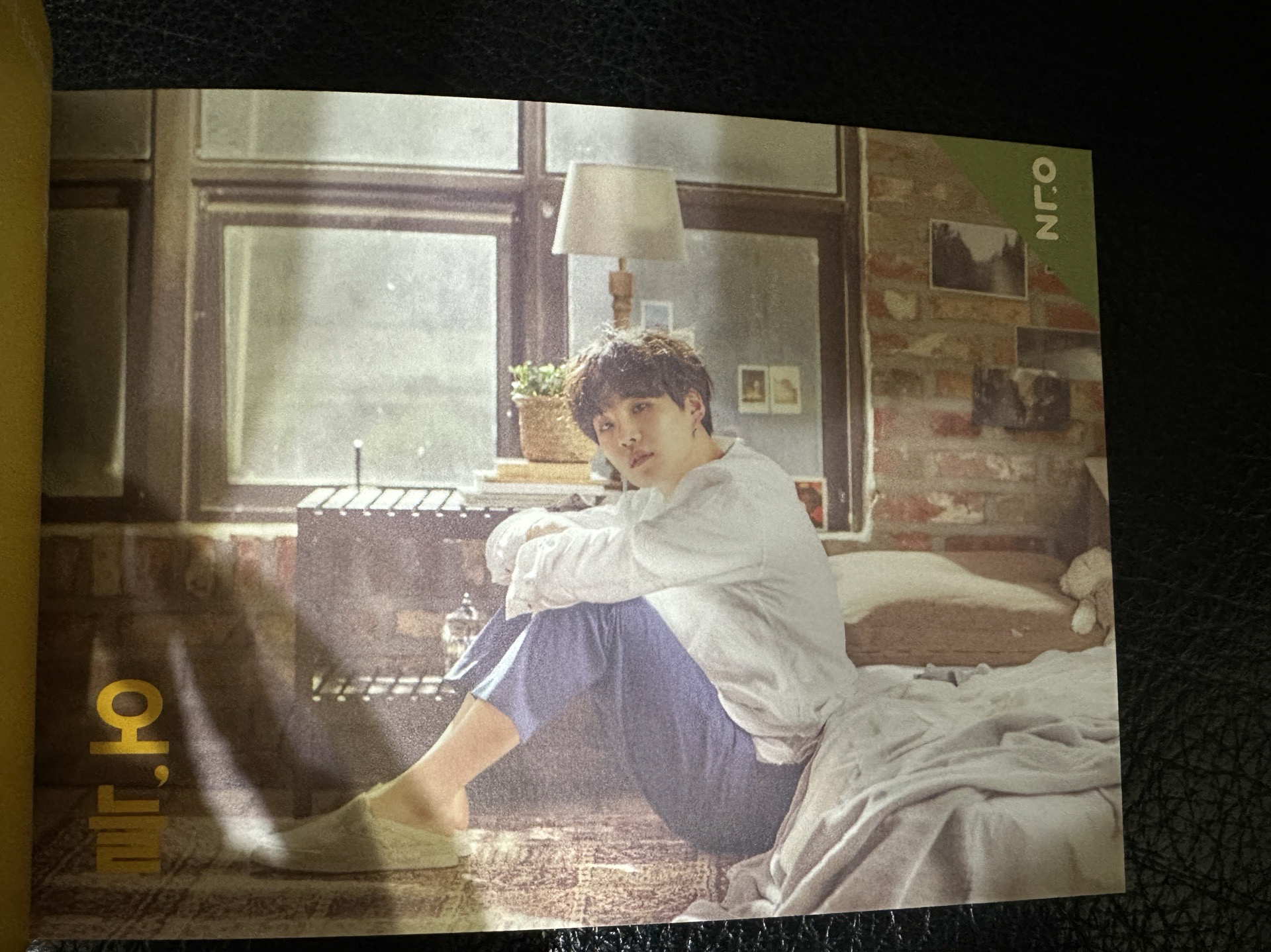 今日展 寫真集 展覽書（照片1-3） / 半日冊門票（整本售 照片4-12）