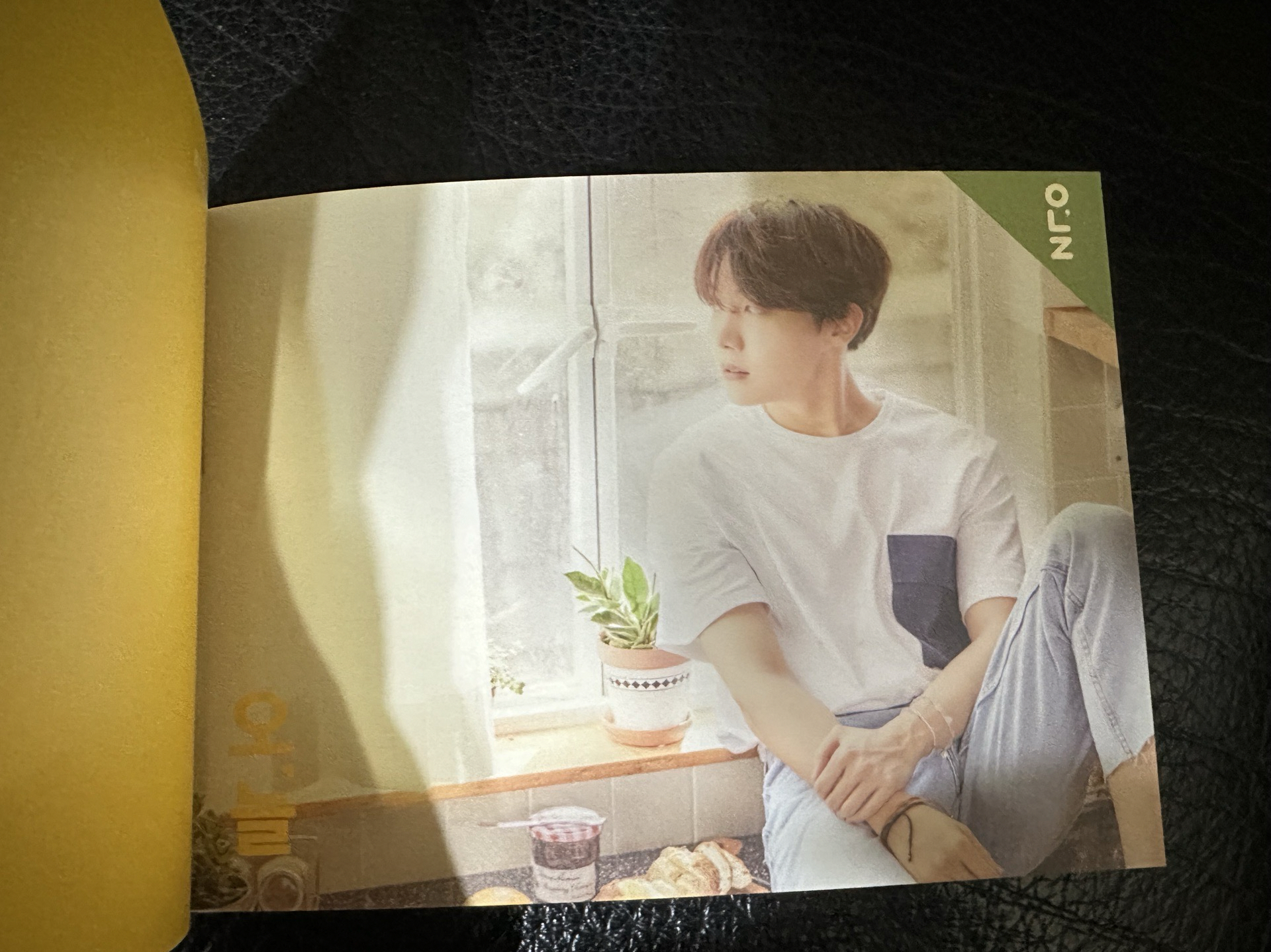 今日展 寫真集 展覽書（照片1-3） / 半日冊門票（整本售 照片4-12）