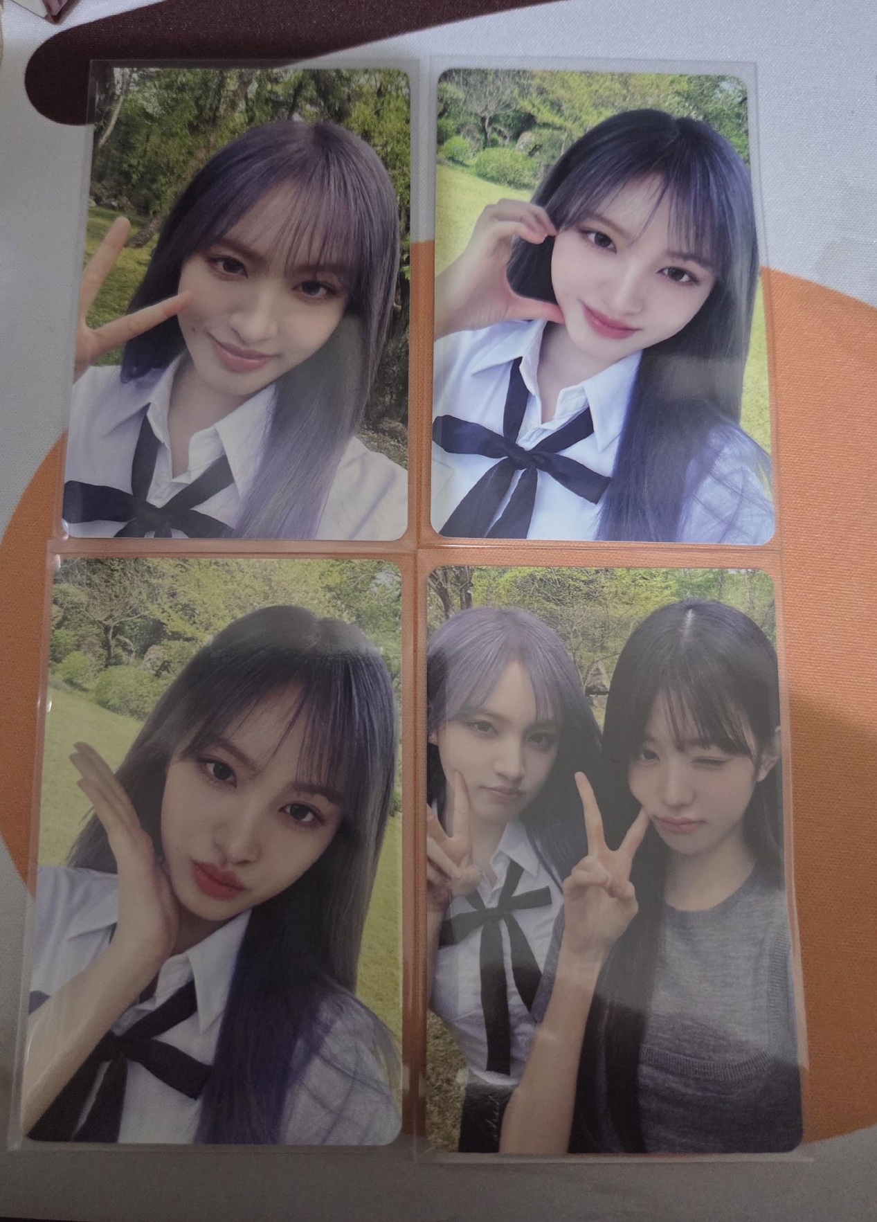 Dicon 栗 整圖不拆售