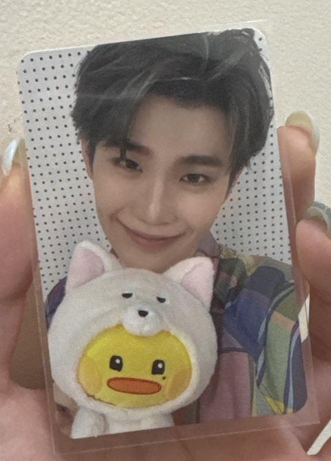 拿著taenini的小鴨