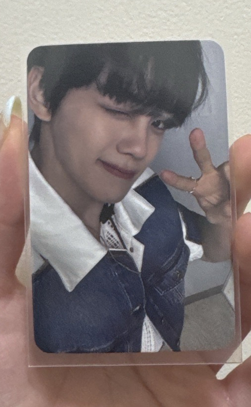 很萌的比耶小狗