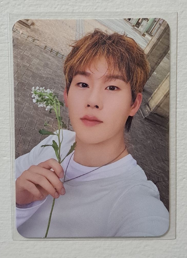 THE X Joohoney 專卡