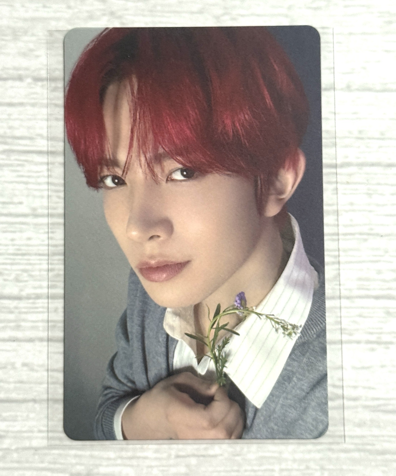 ENHYPEN 日專宵 塔店抽選卡 拿花羲 星 力