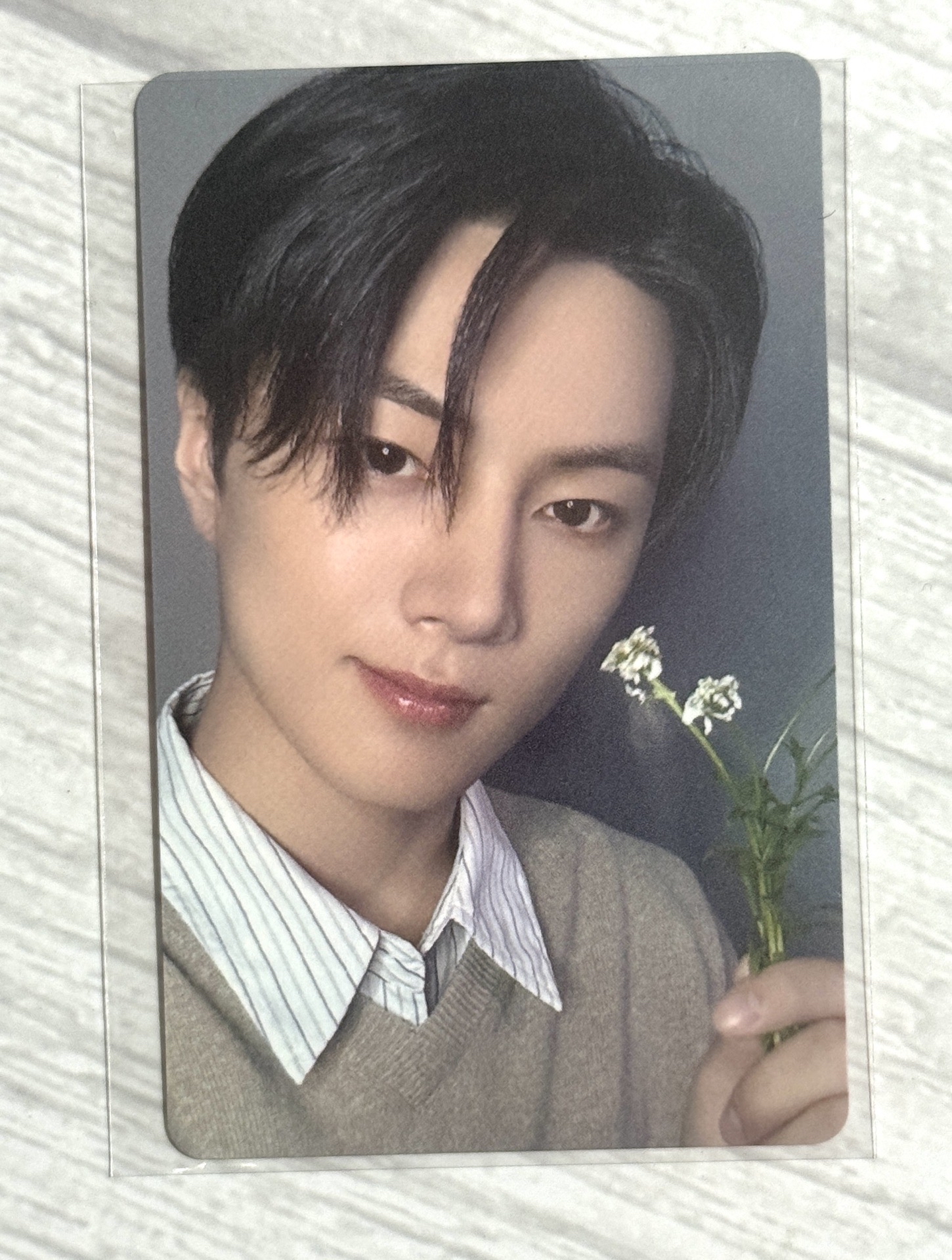 ENHYPEN 日專宵 塔店抽選卡 拿花羲 星 力