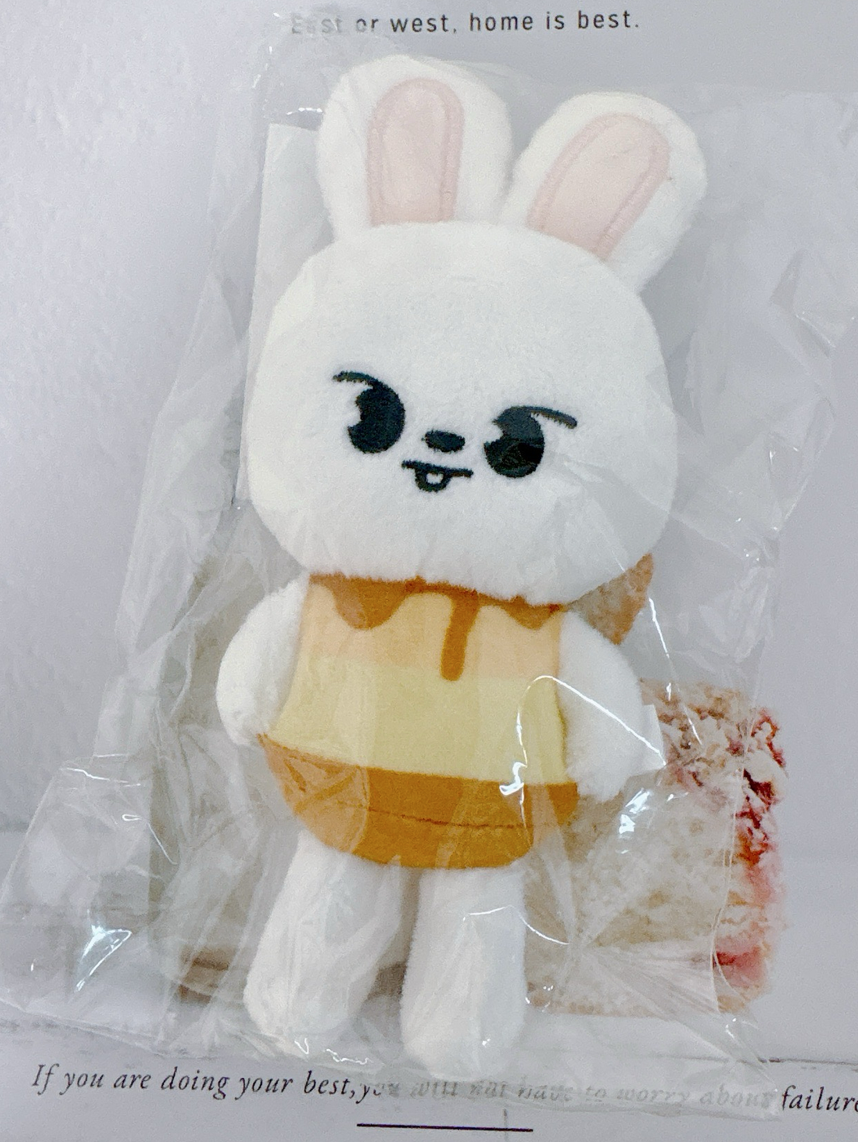 全新未拆 李畢 布丁娃 日巡安可場周