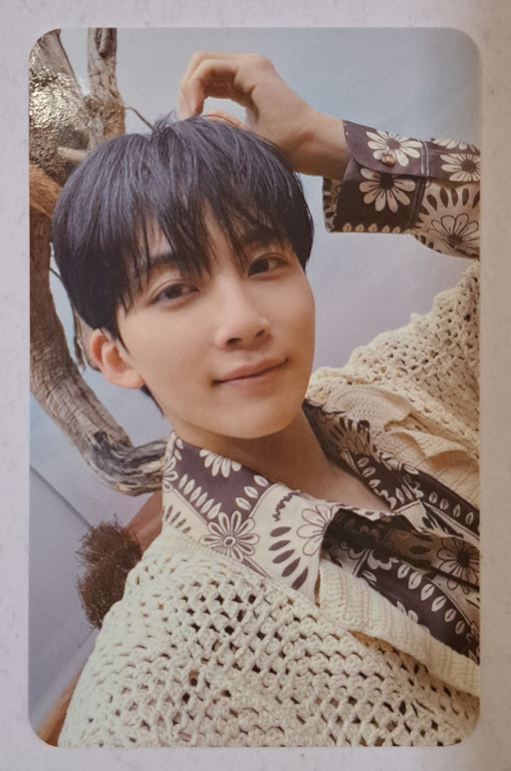 正四 wvs yes24 簽售卡 漢