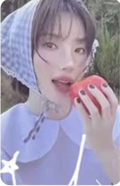 年曆卡固配 內容（固配小卡、ID卡、拍立得）