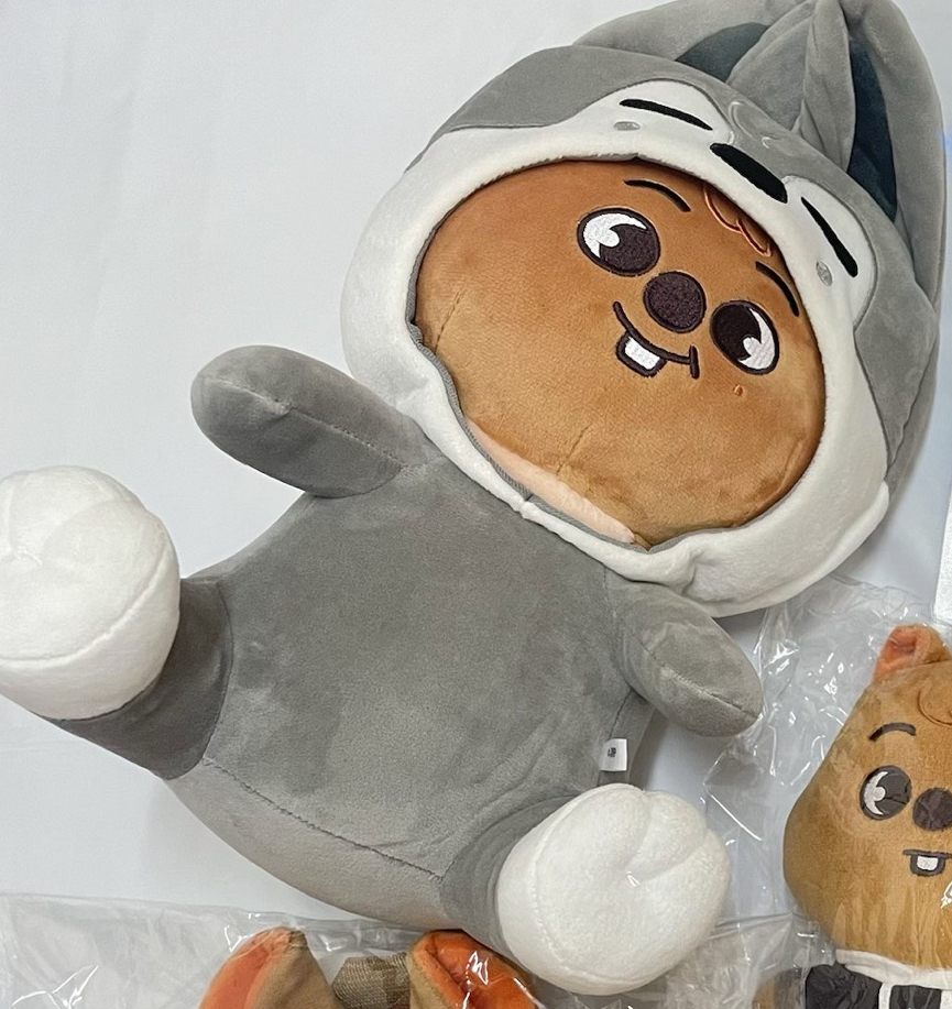 SKZ 日本飯咪周邊 方燦 韓知城