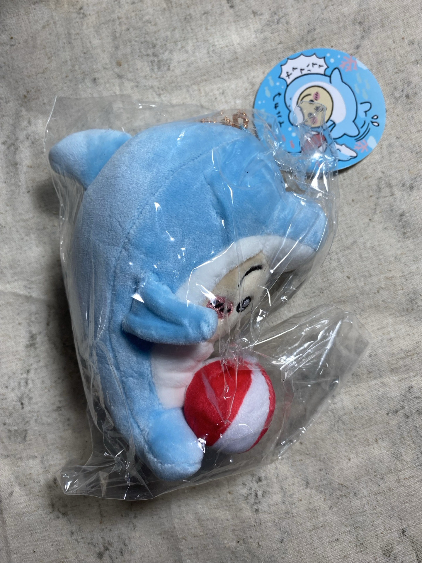 水族館 吊娃 海豚