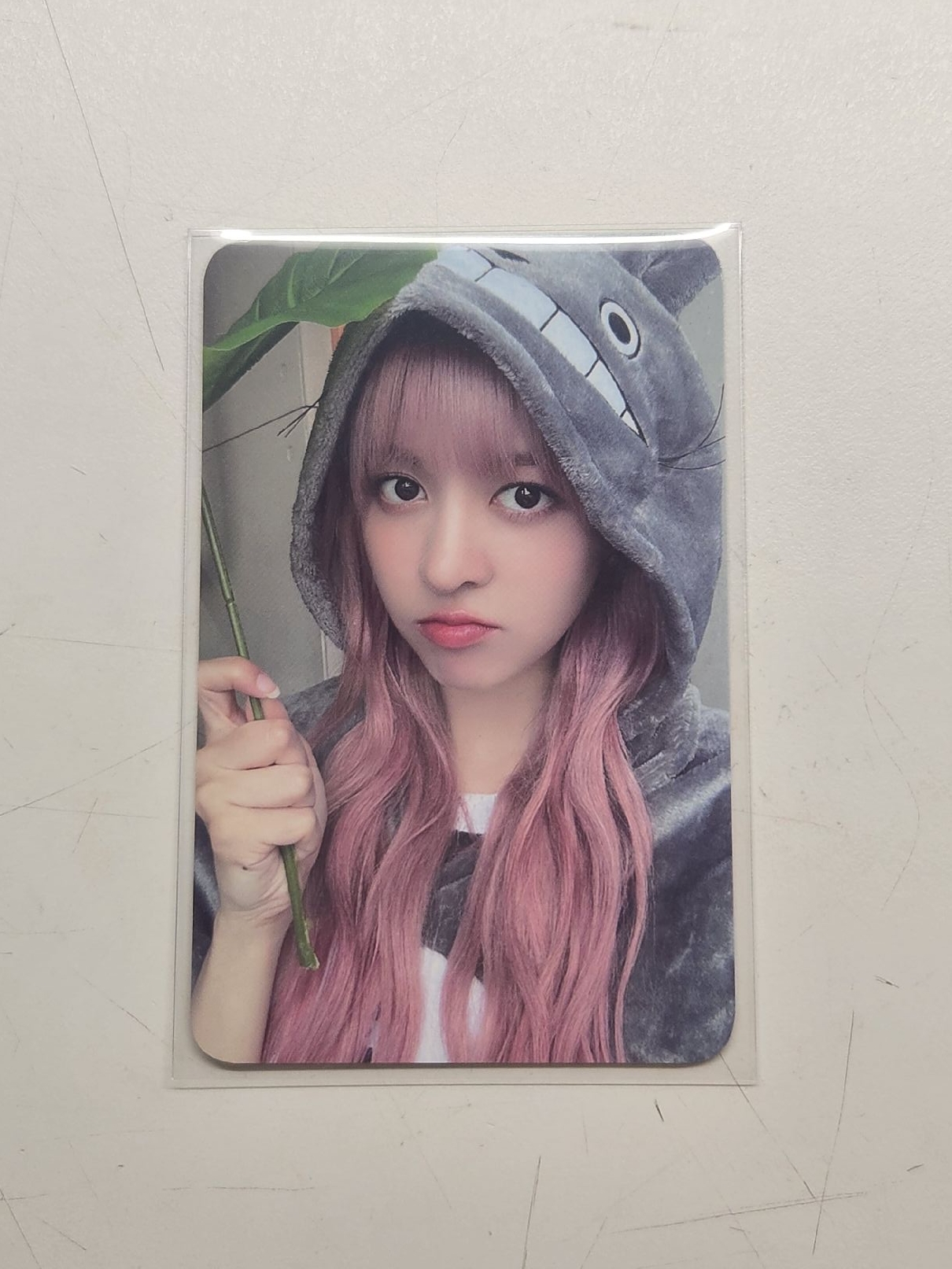 仲夏夜 EL 龍貓莉