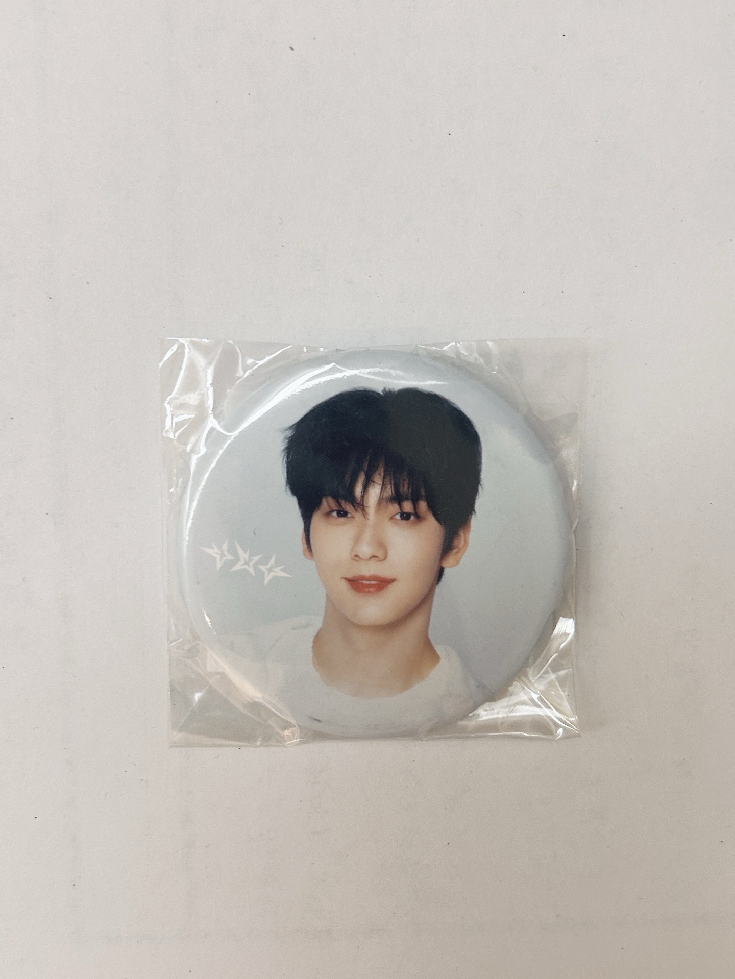 日巡徽章（彬）