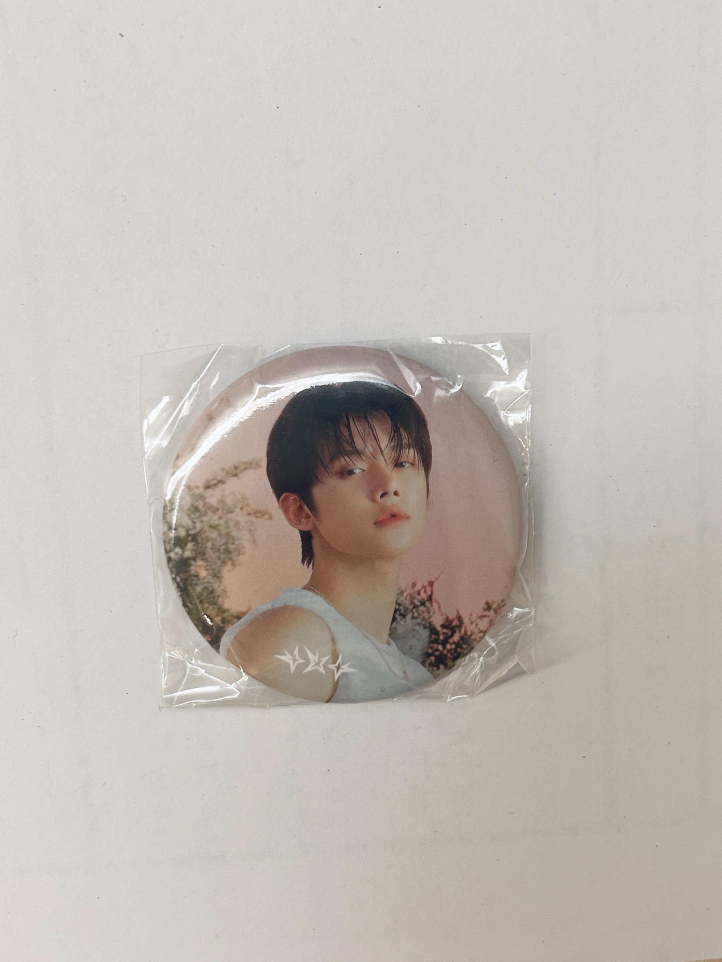 日巡徽章（竣）