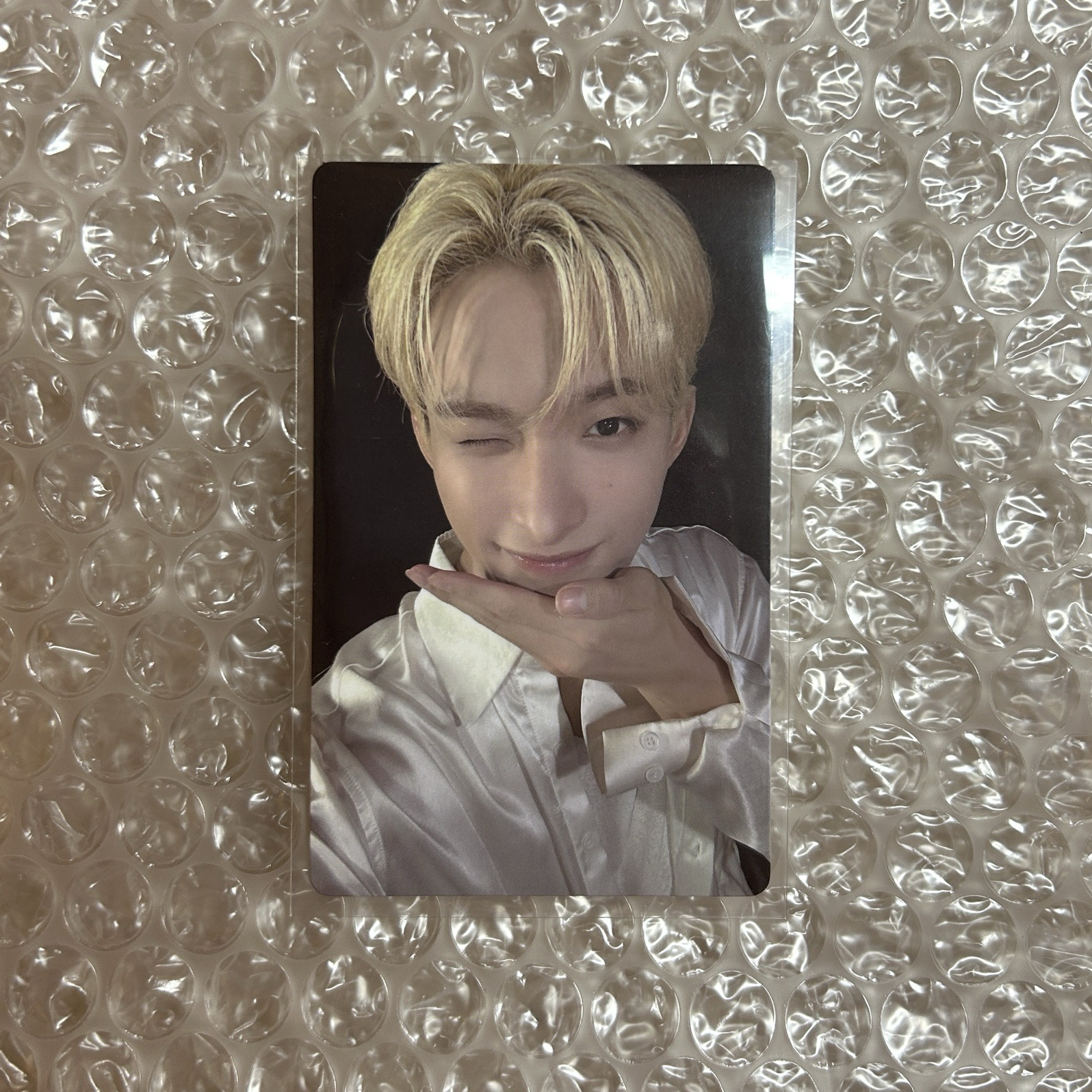 迷12 wvs特典 哲碩率