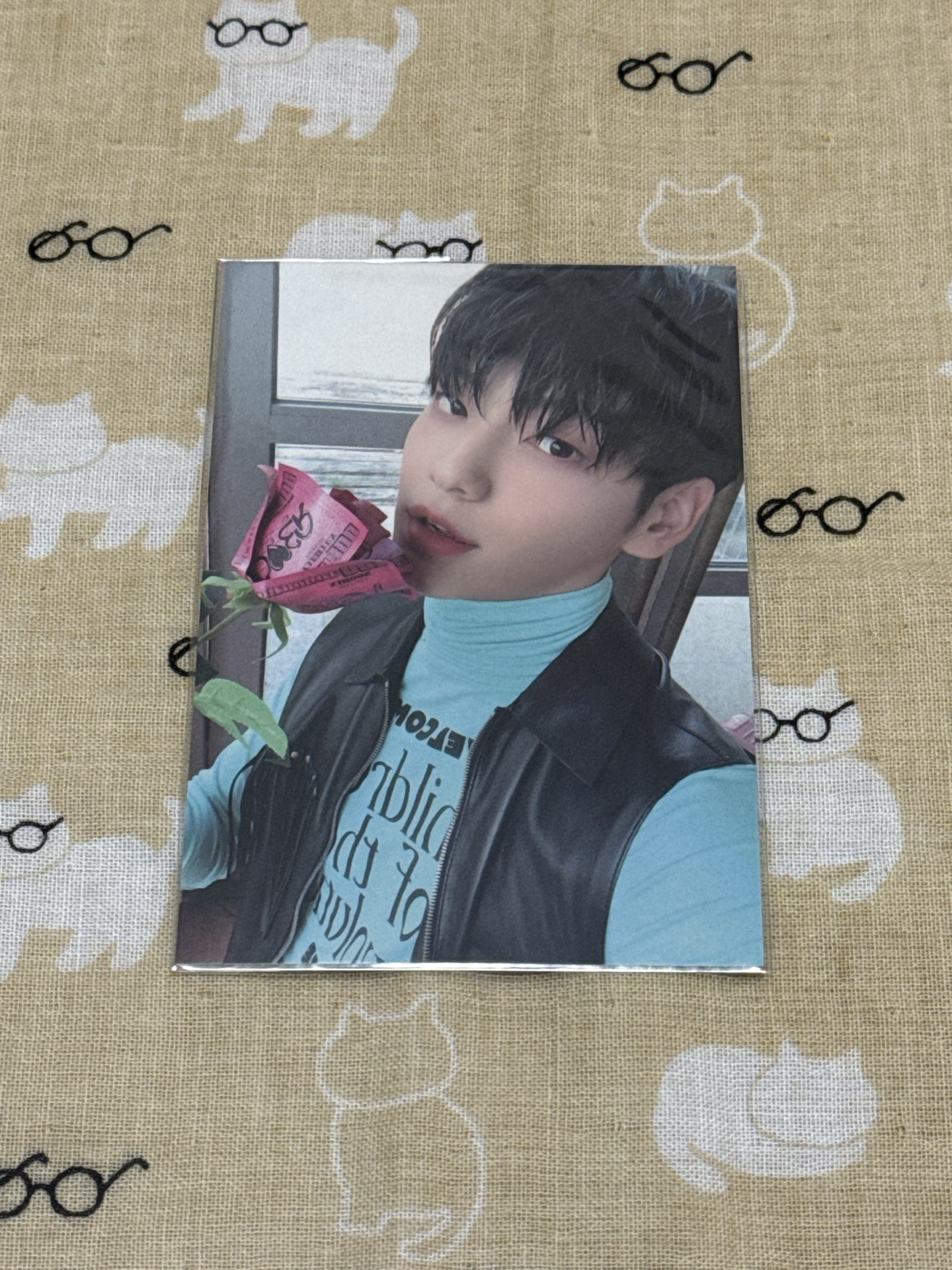 秀彬 玫瑰 公放卡 打歌卡