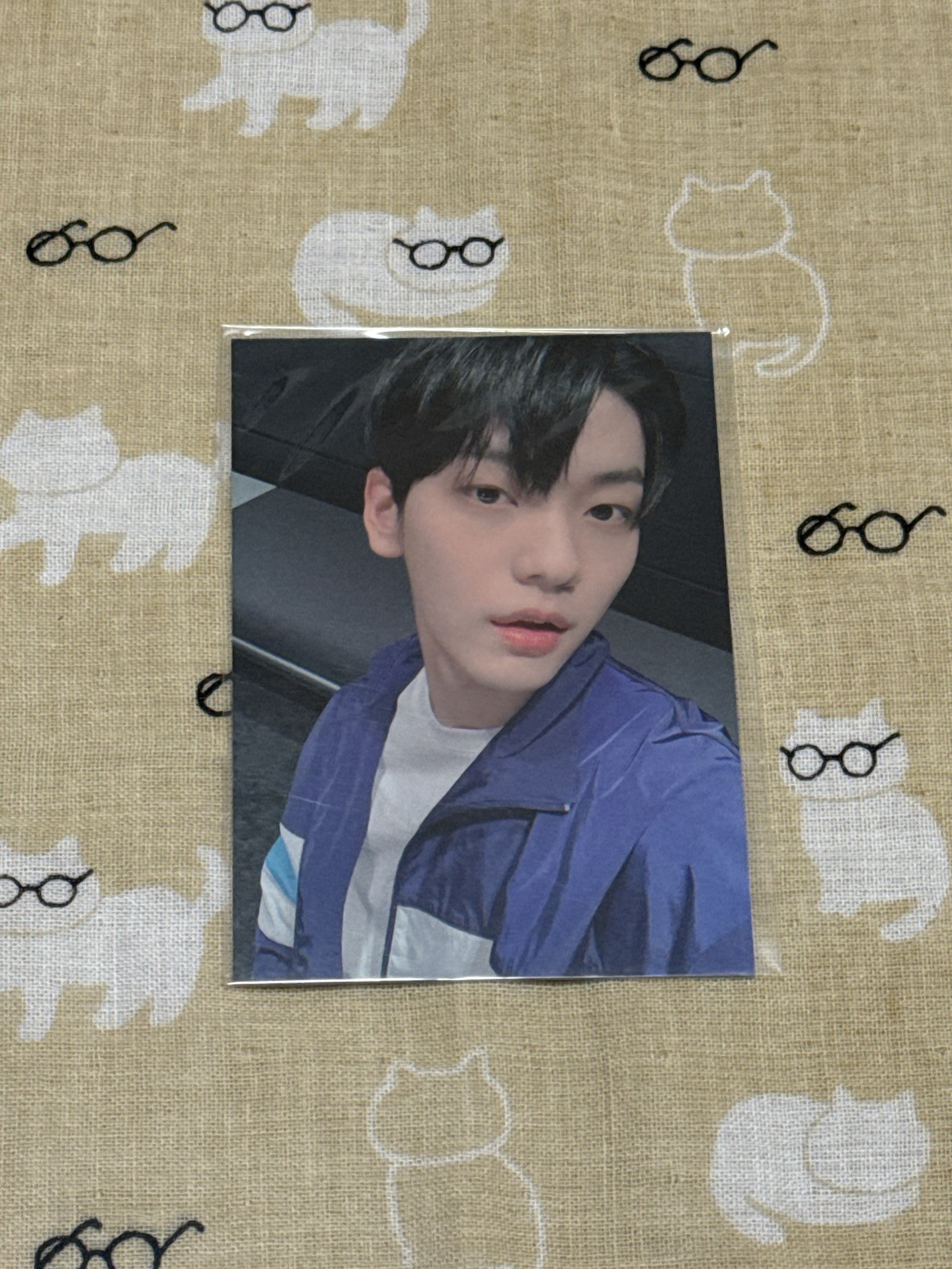 秀彬 衣服 周邊卡