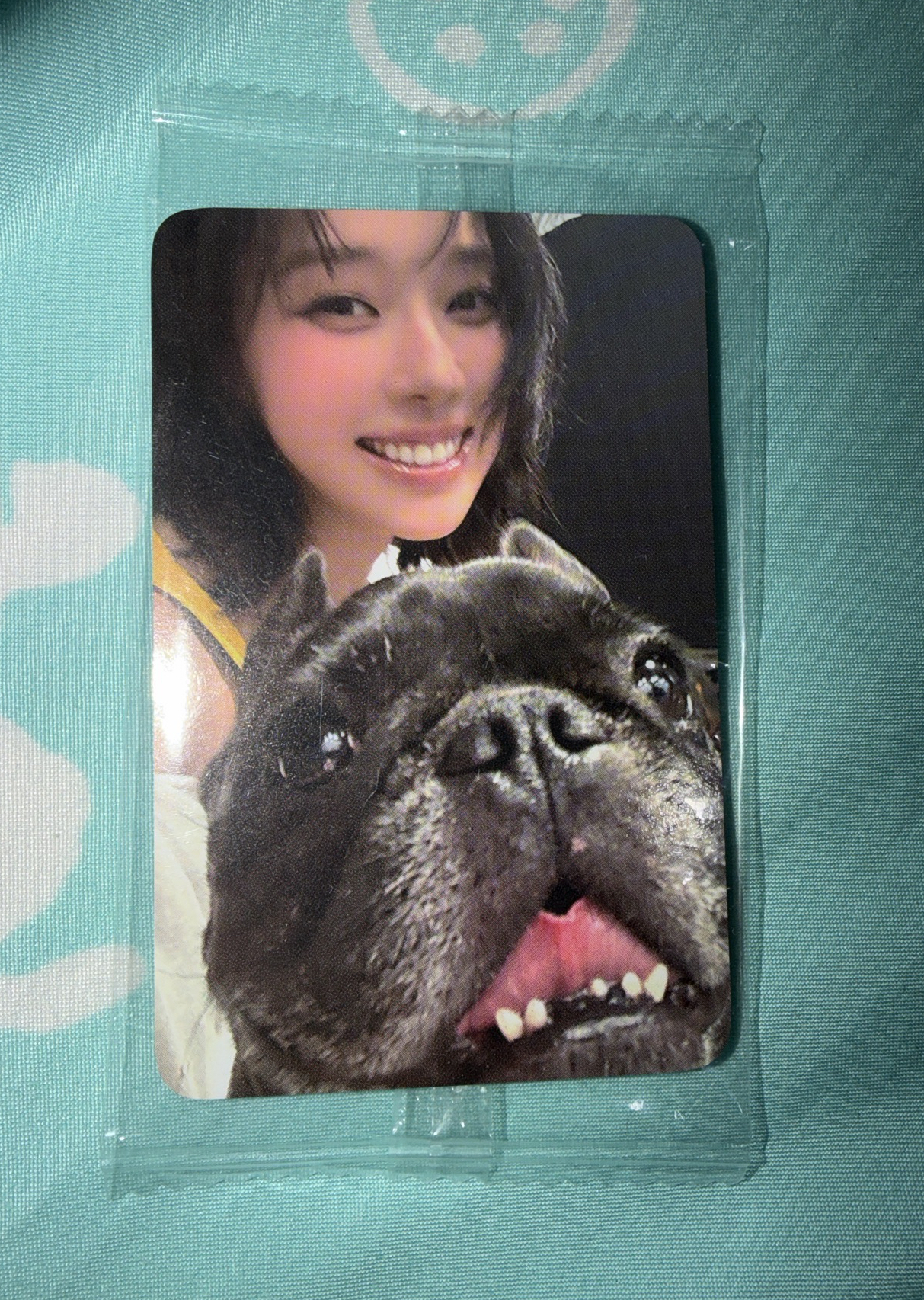 冬 Rich Man k4 預售 特典卡 