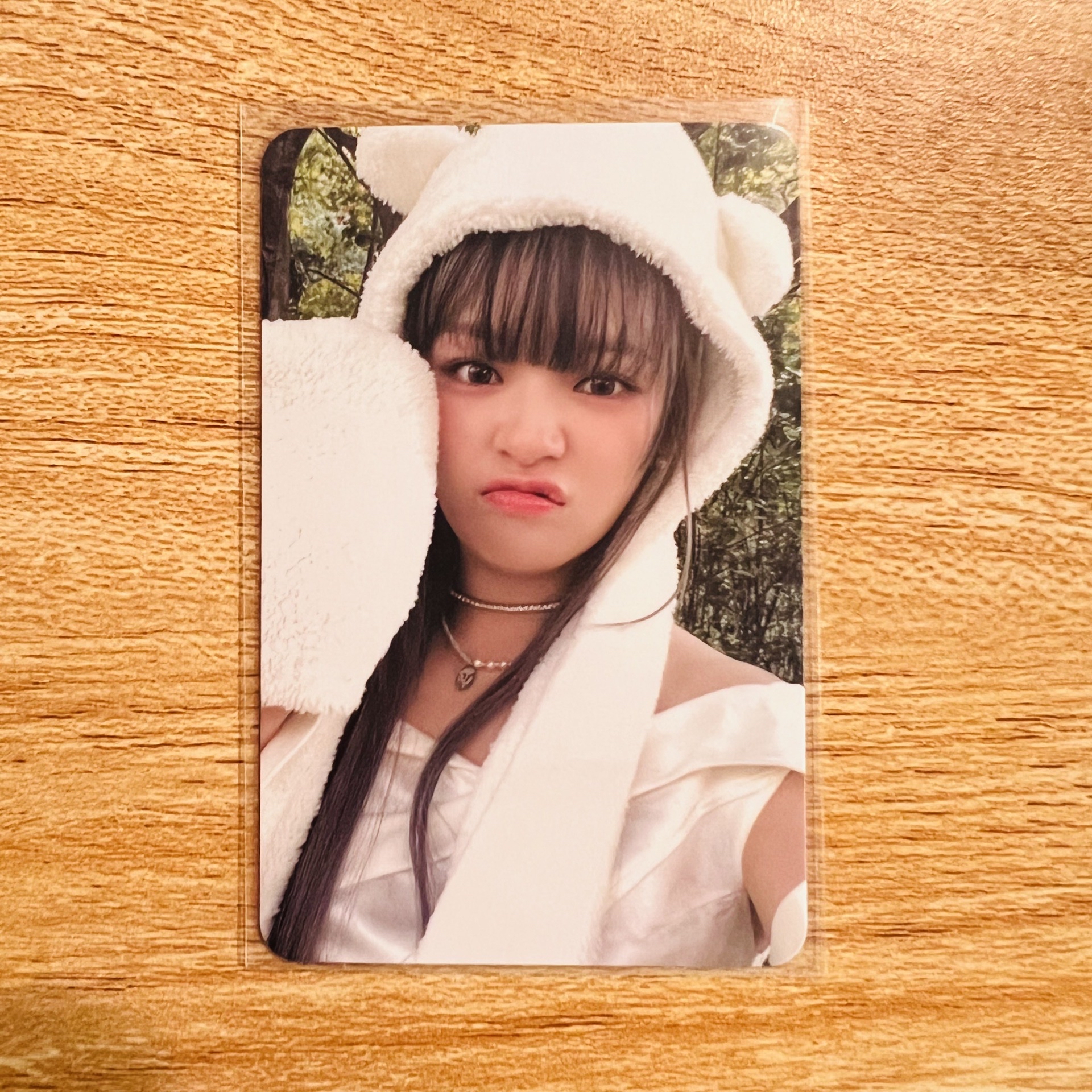 TWICE mini 13 With YOU-th 白熊 定延 專輯小卡