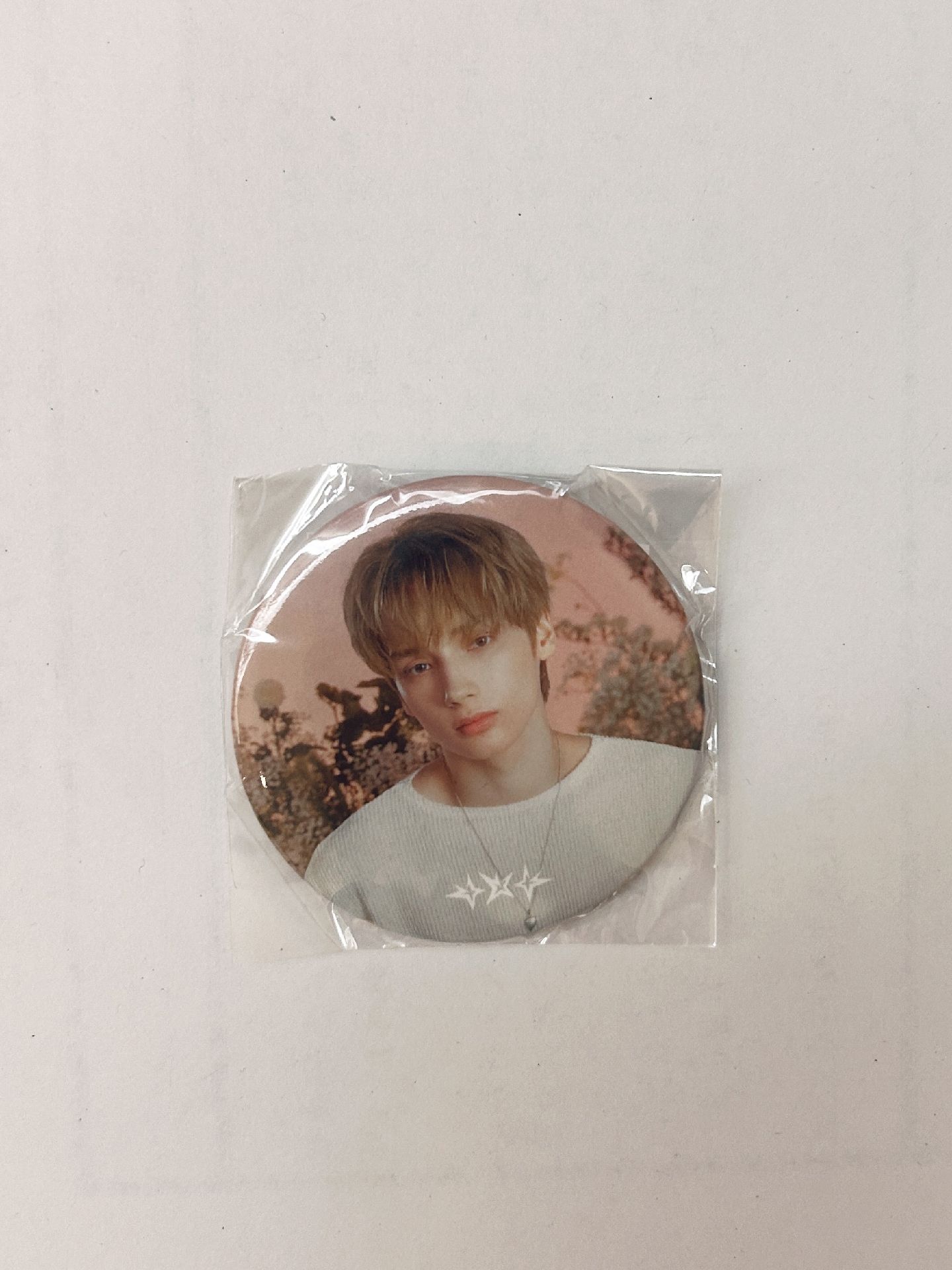 日巡徽章（寧）