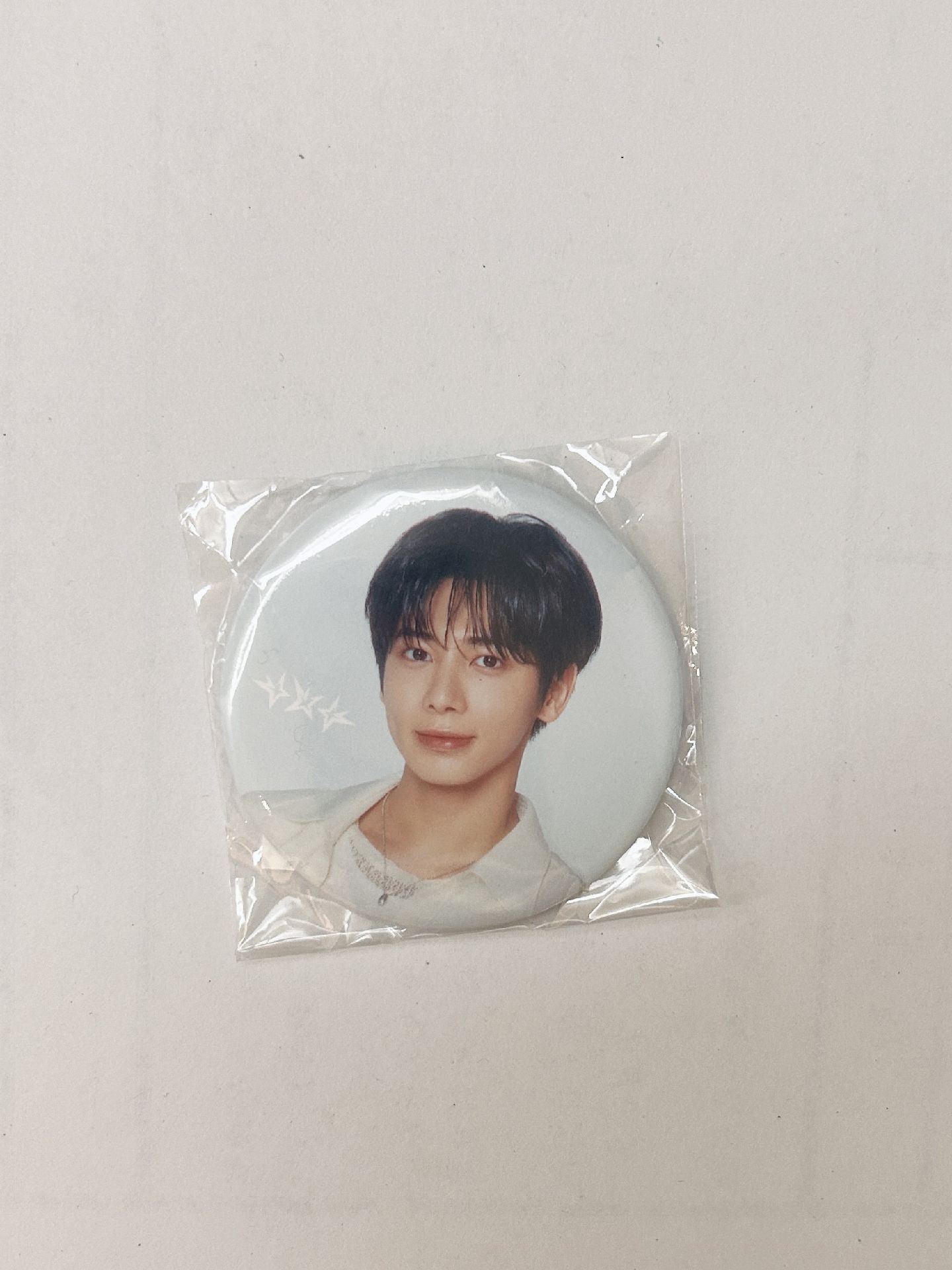 日巡徽章（顯）