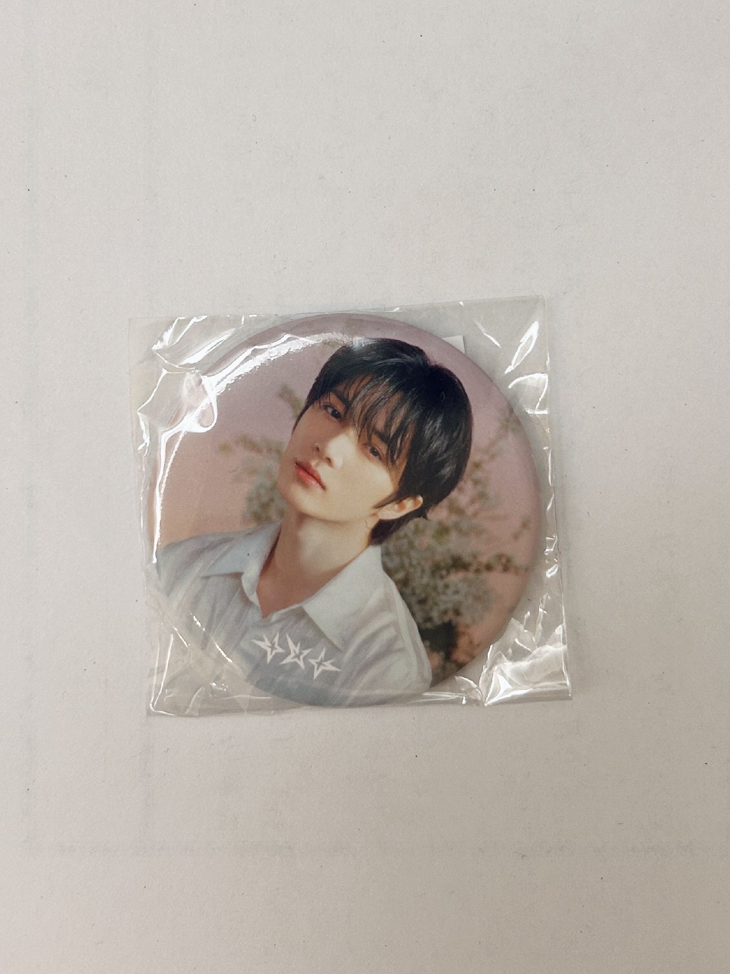 日巡徽章（圭）