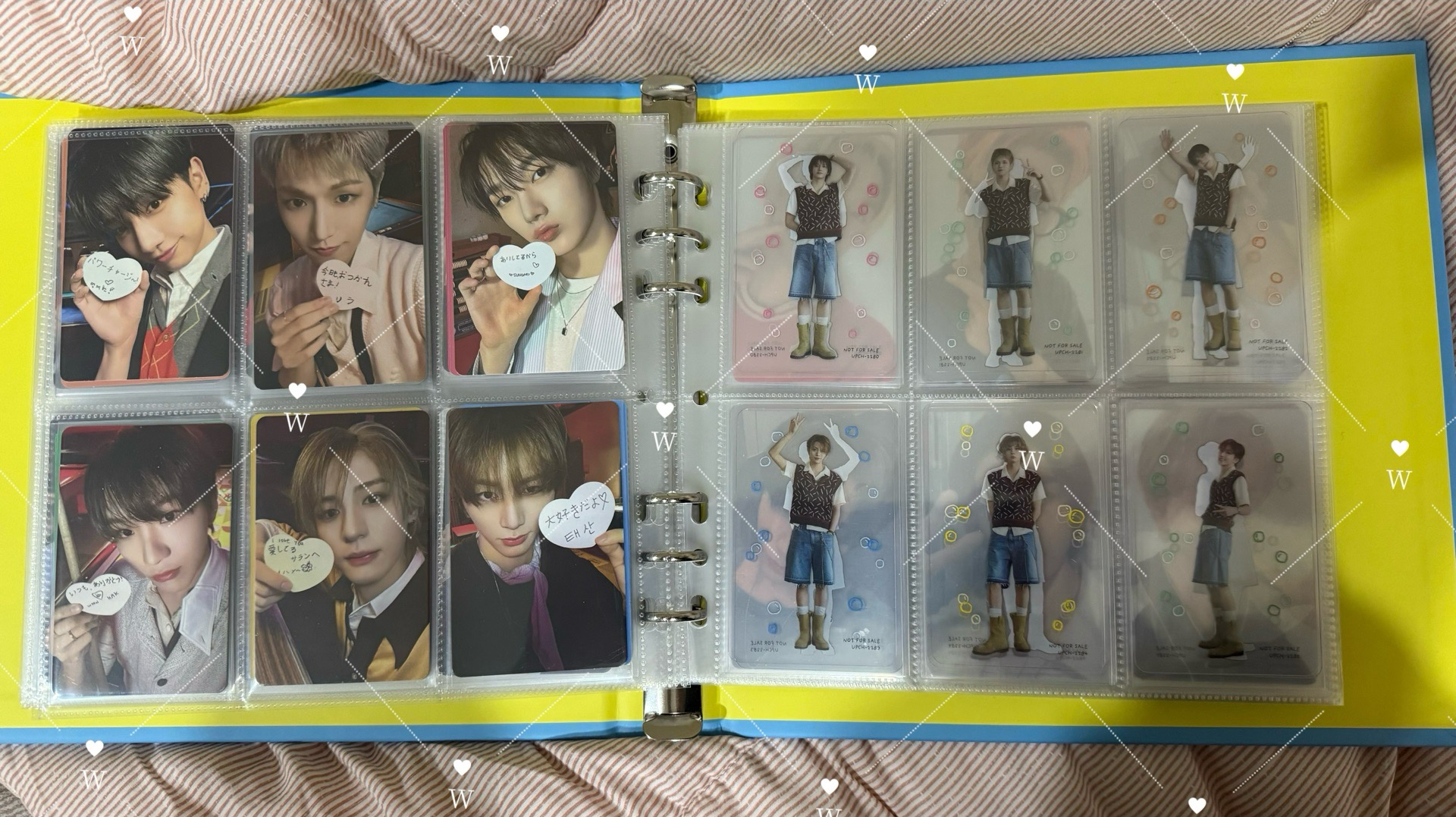 BOYLIFE 單封專卡+透卡 一套12張 也可單收