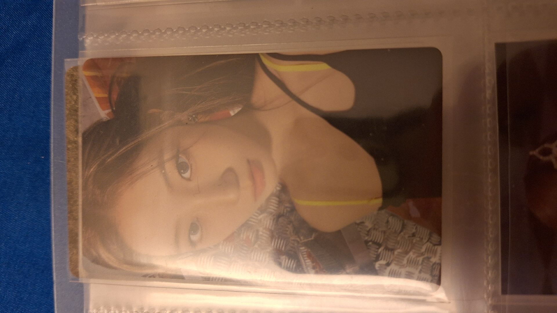 spaghetti 葉 預售