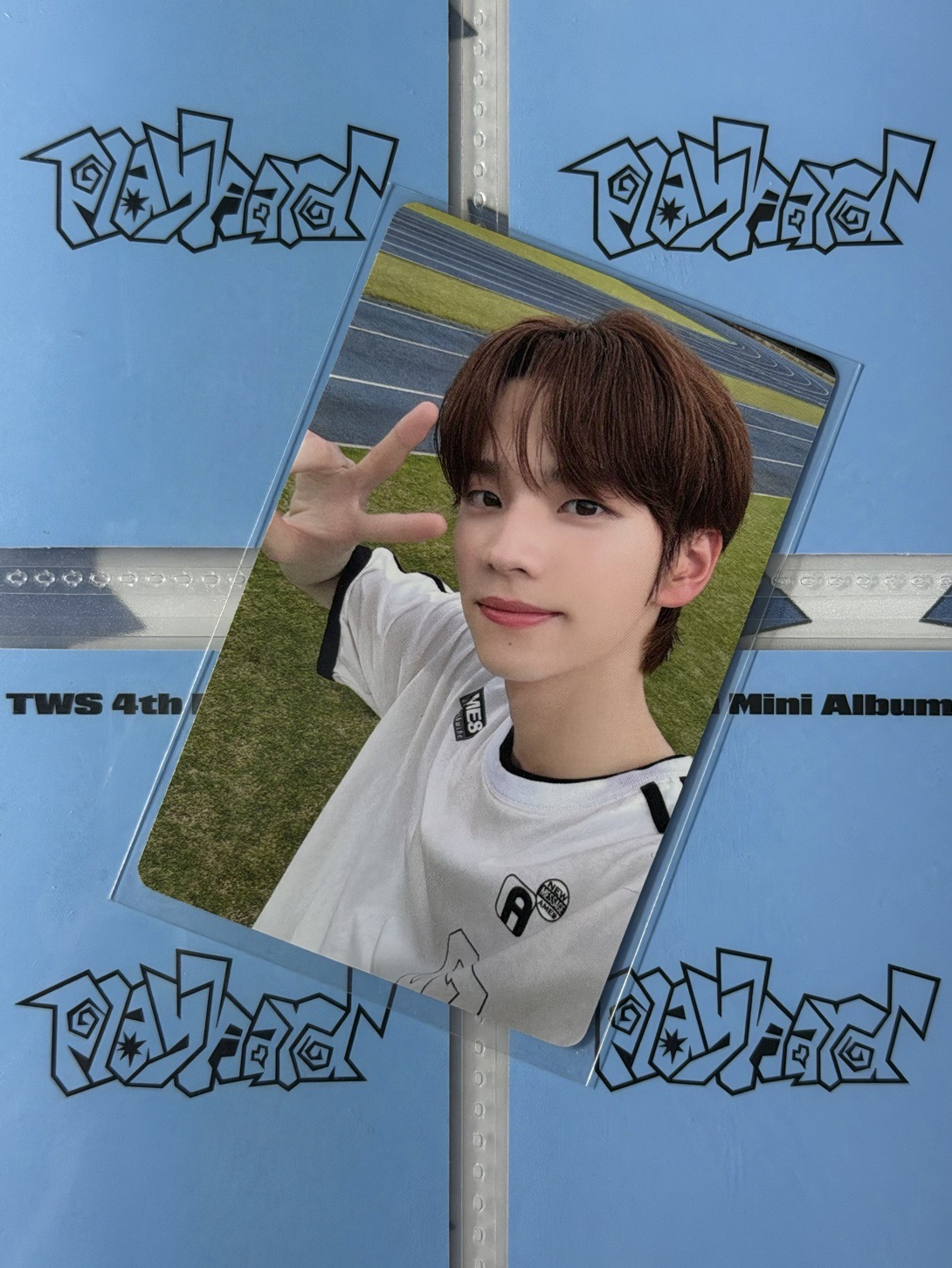 申惟 一直娛中文卡背‘’小狗惟尼‘’