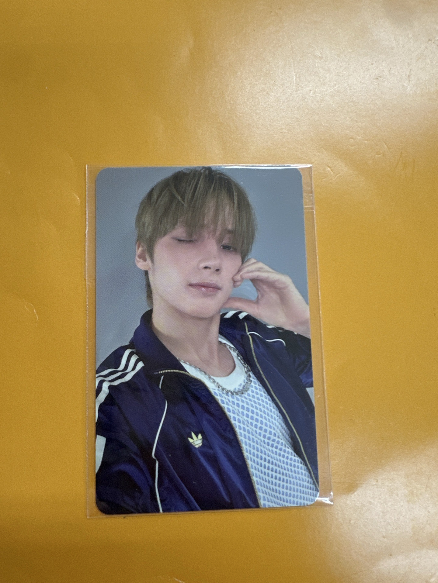 休寧凱(請多帶賣場任一卡