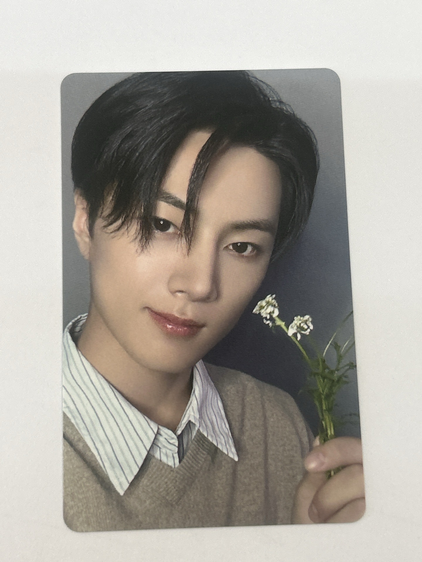 ENHYPEN 日專 塔店抽選卡