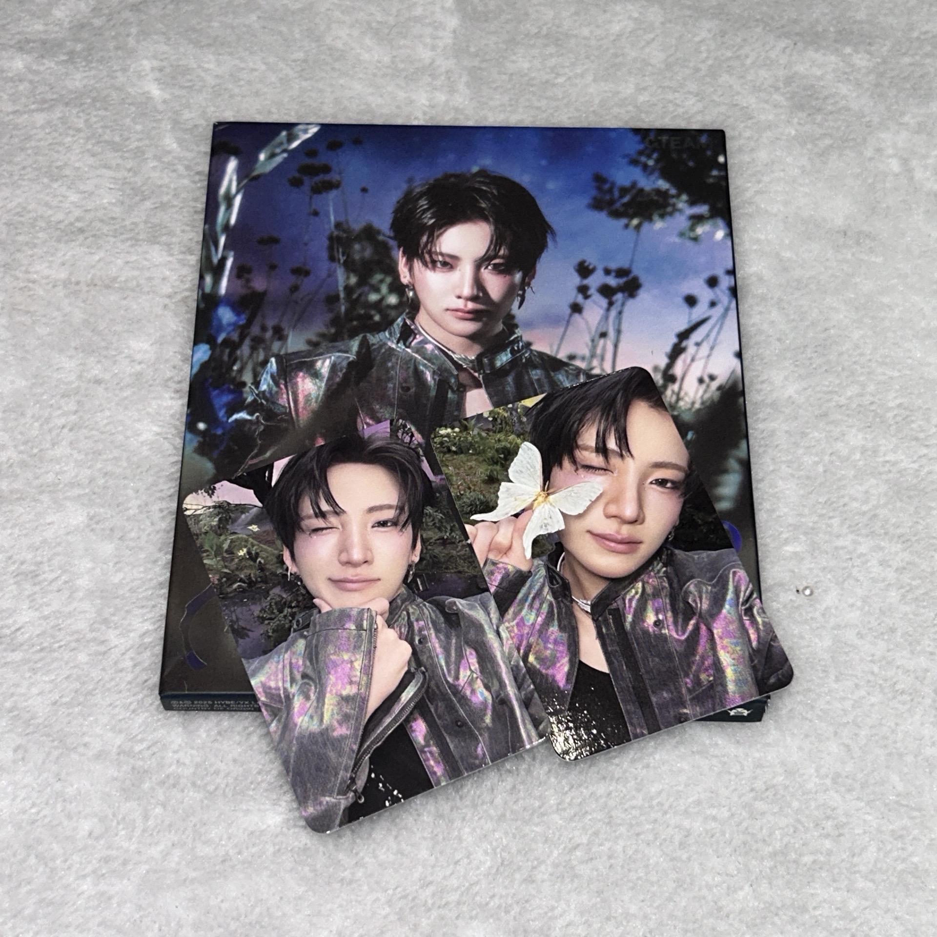 BTL YUMA 全專 單封 ROAR