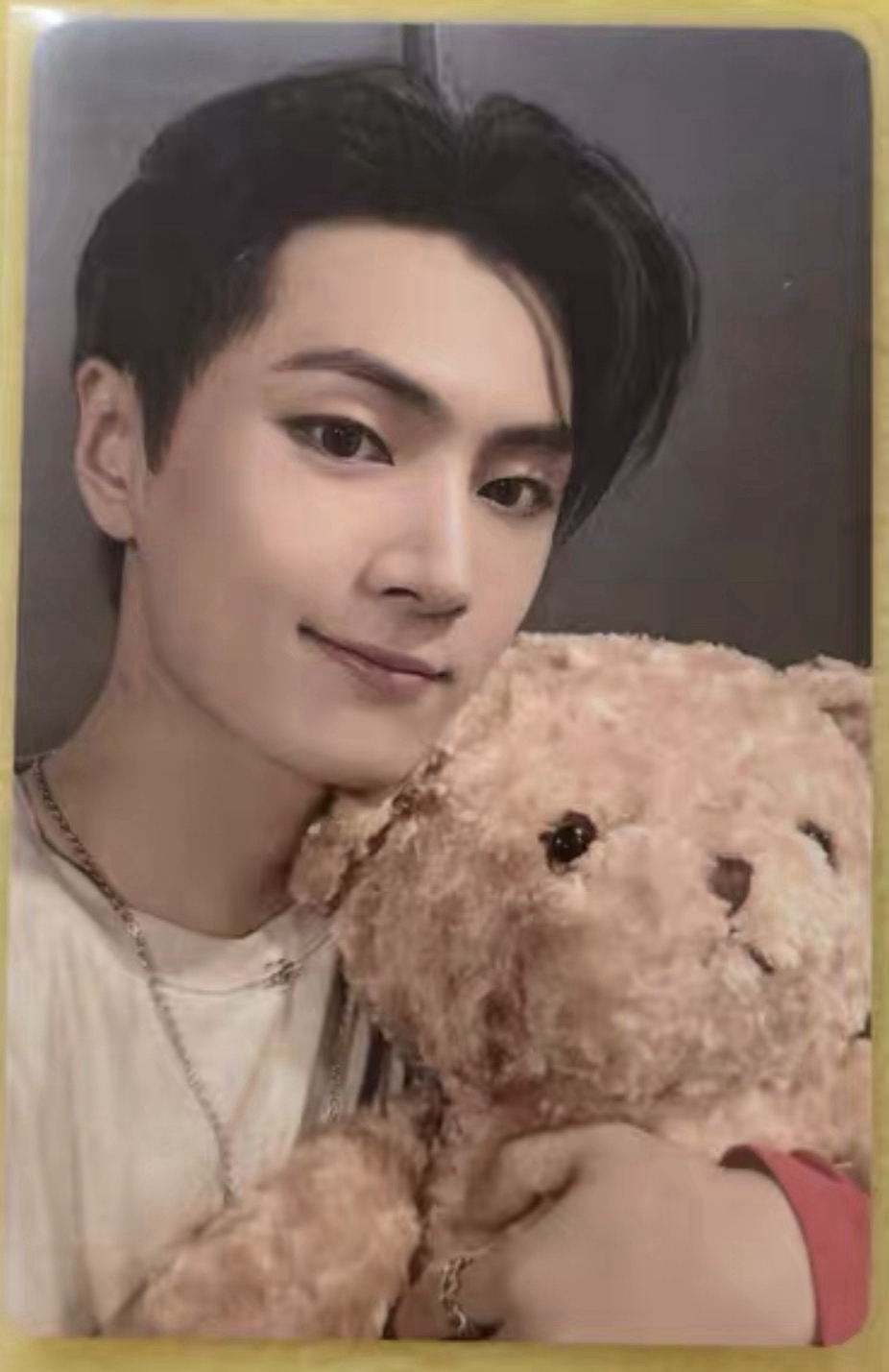 一直娛預售4.0 抱熊星現貨