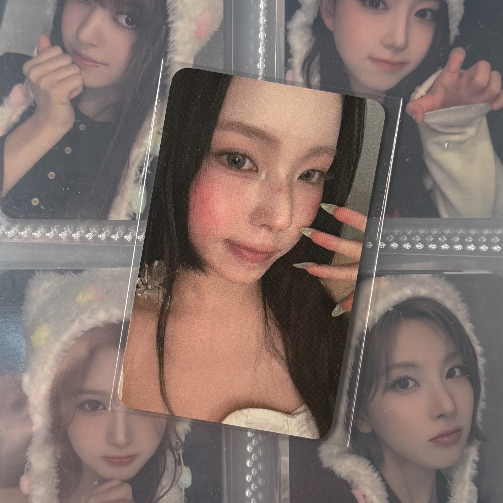 ✅正規一 fans預售 特典卡 圭