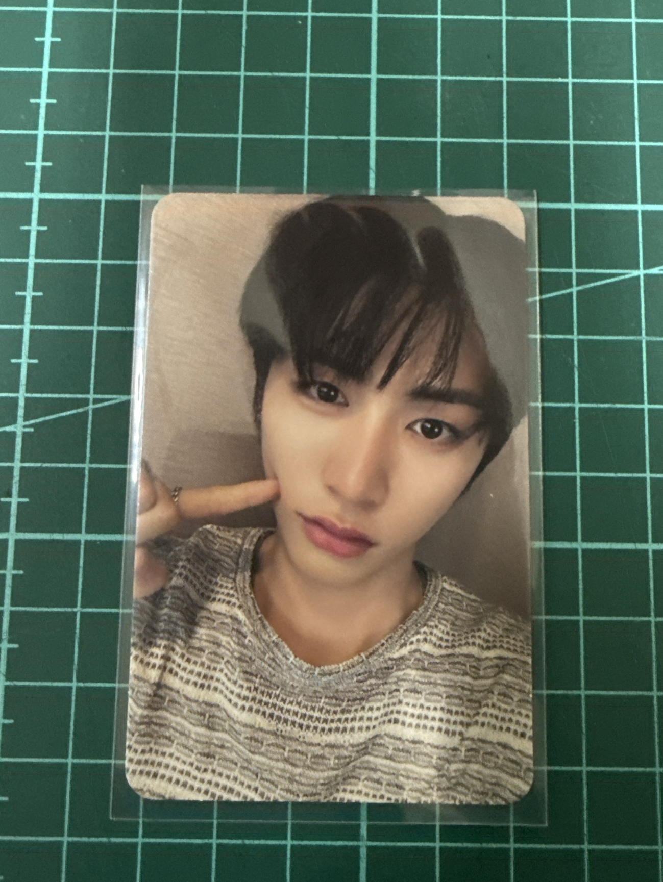 boynextdoor 泰山 19.99 蝦皮特典2.0