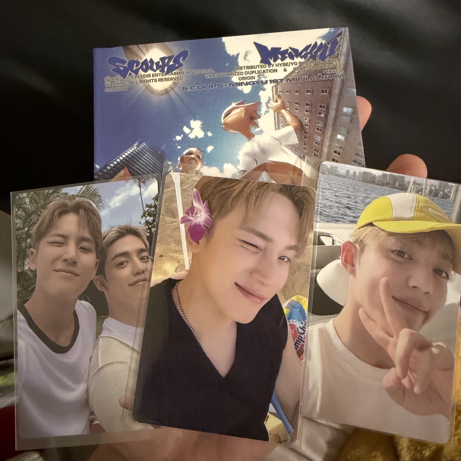 💎buddy版全專-含視通特典