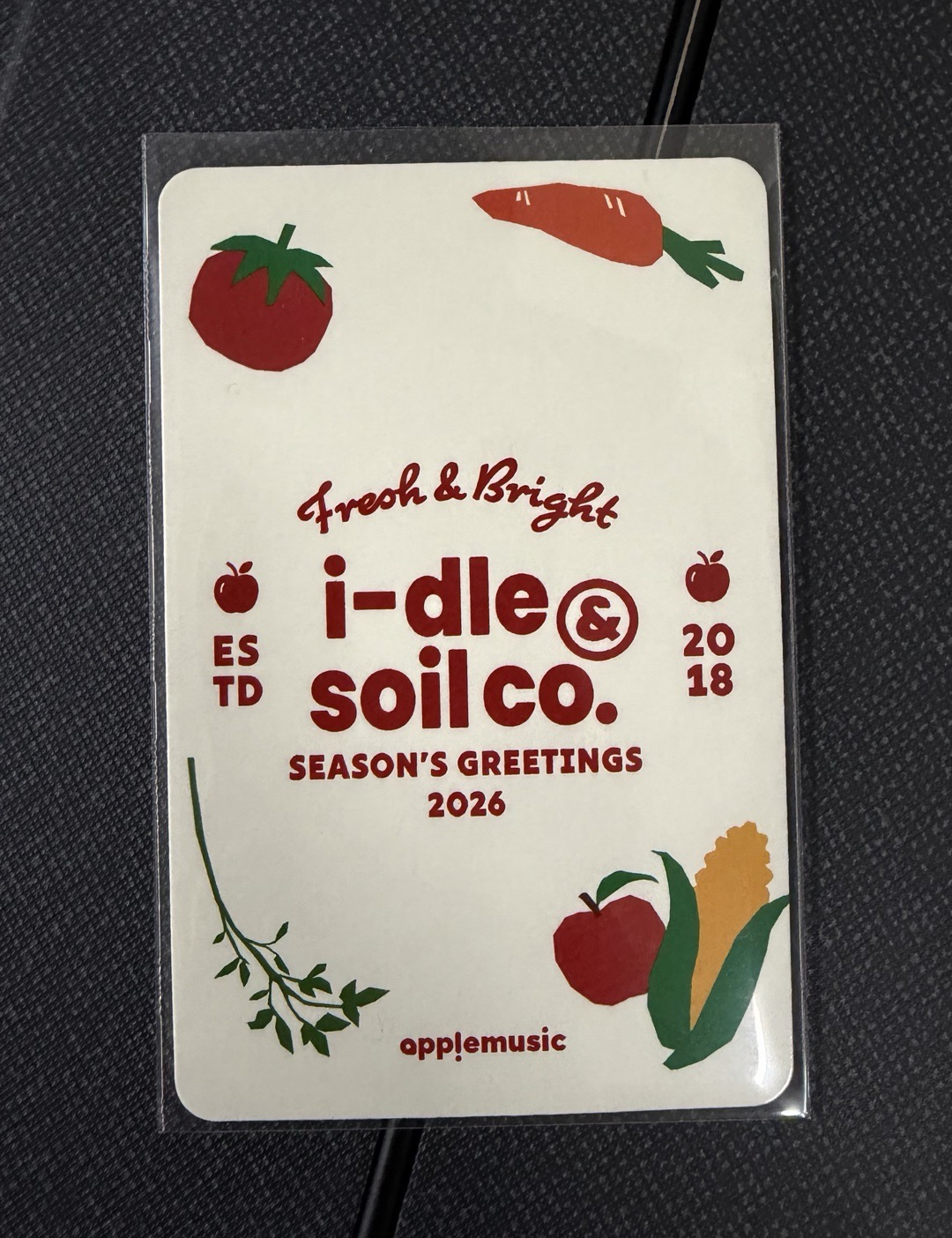 I-dle 薇娟 Miyeon 2026 年曆 AM特典